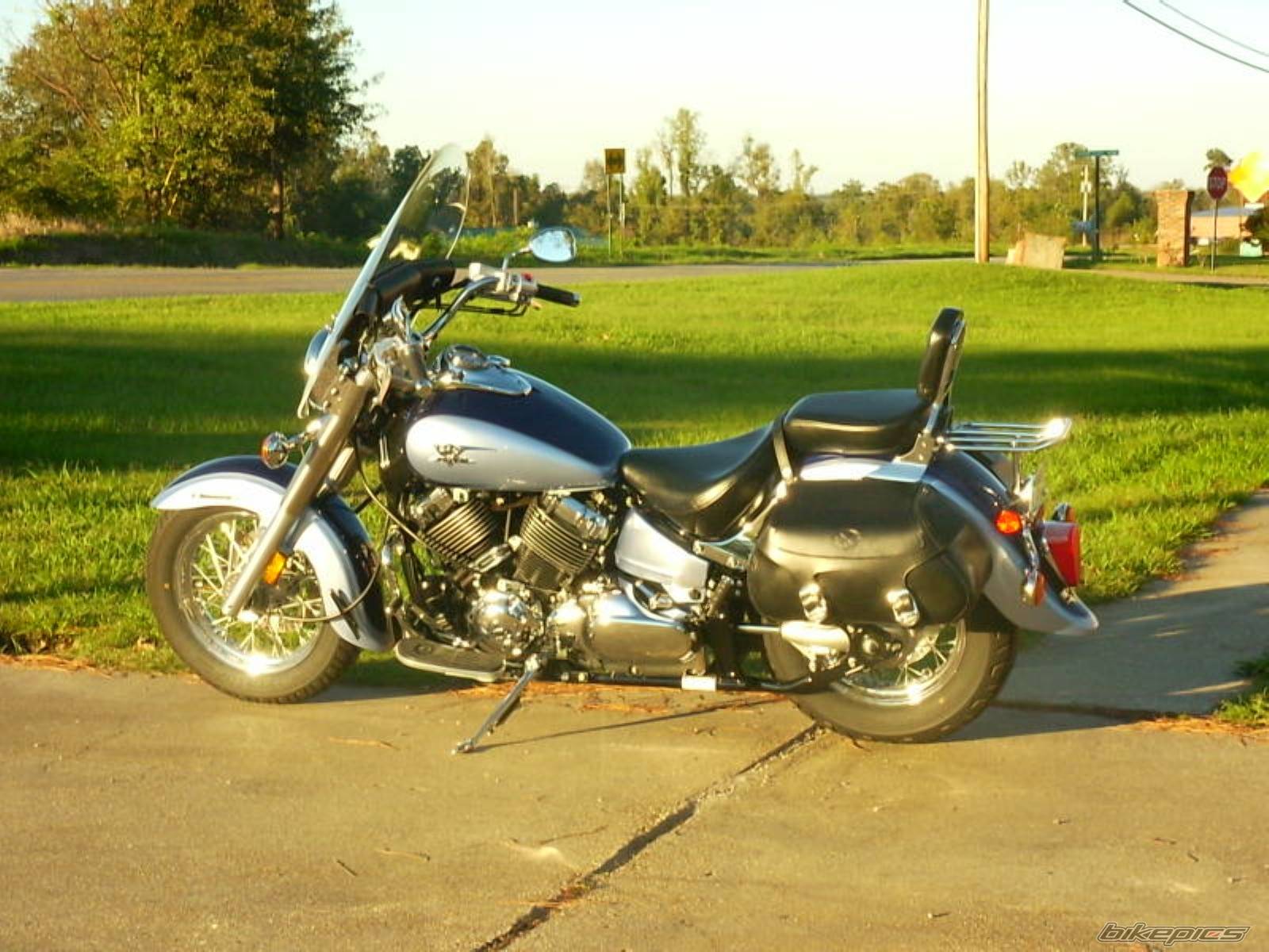 2004 YAMAHA XVS 650 V STAR | Picture 239491 motorcycle photo