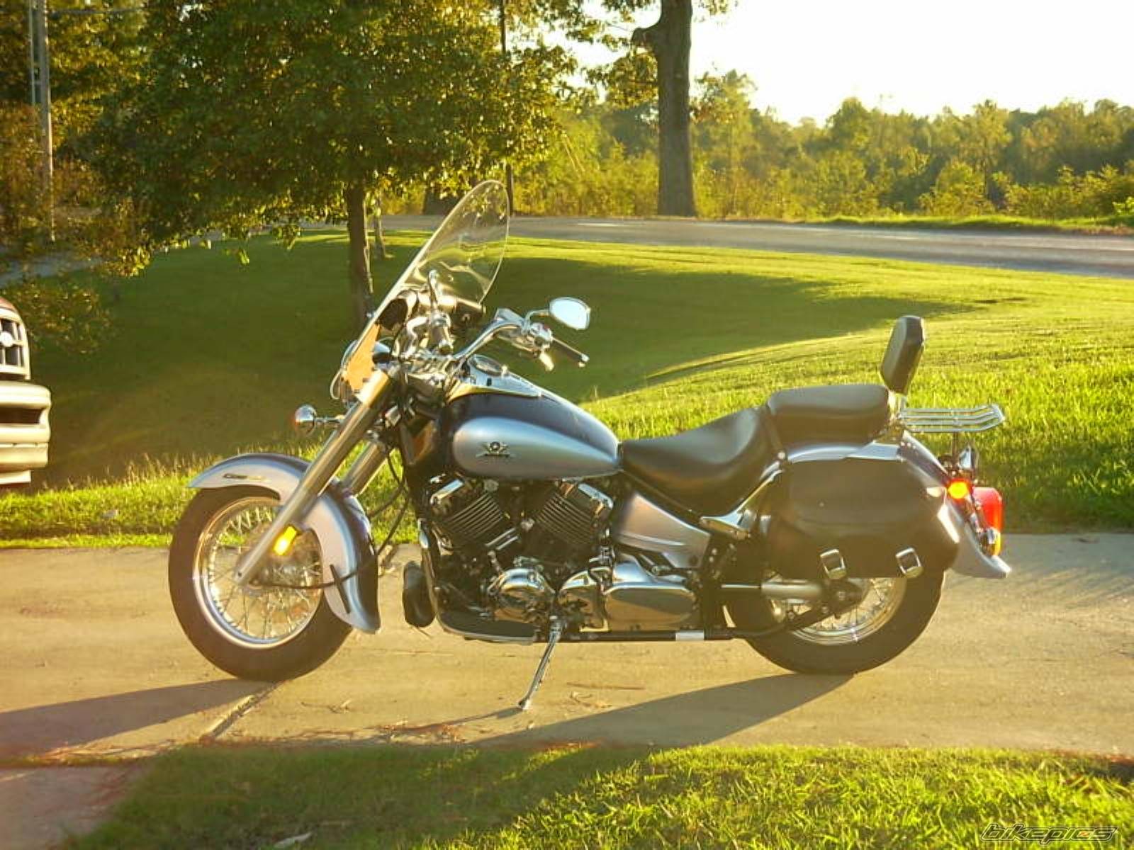 2004 YAMAHA XVS 650 V STAR | Picture 239494 motorcycle photo