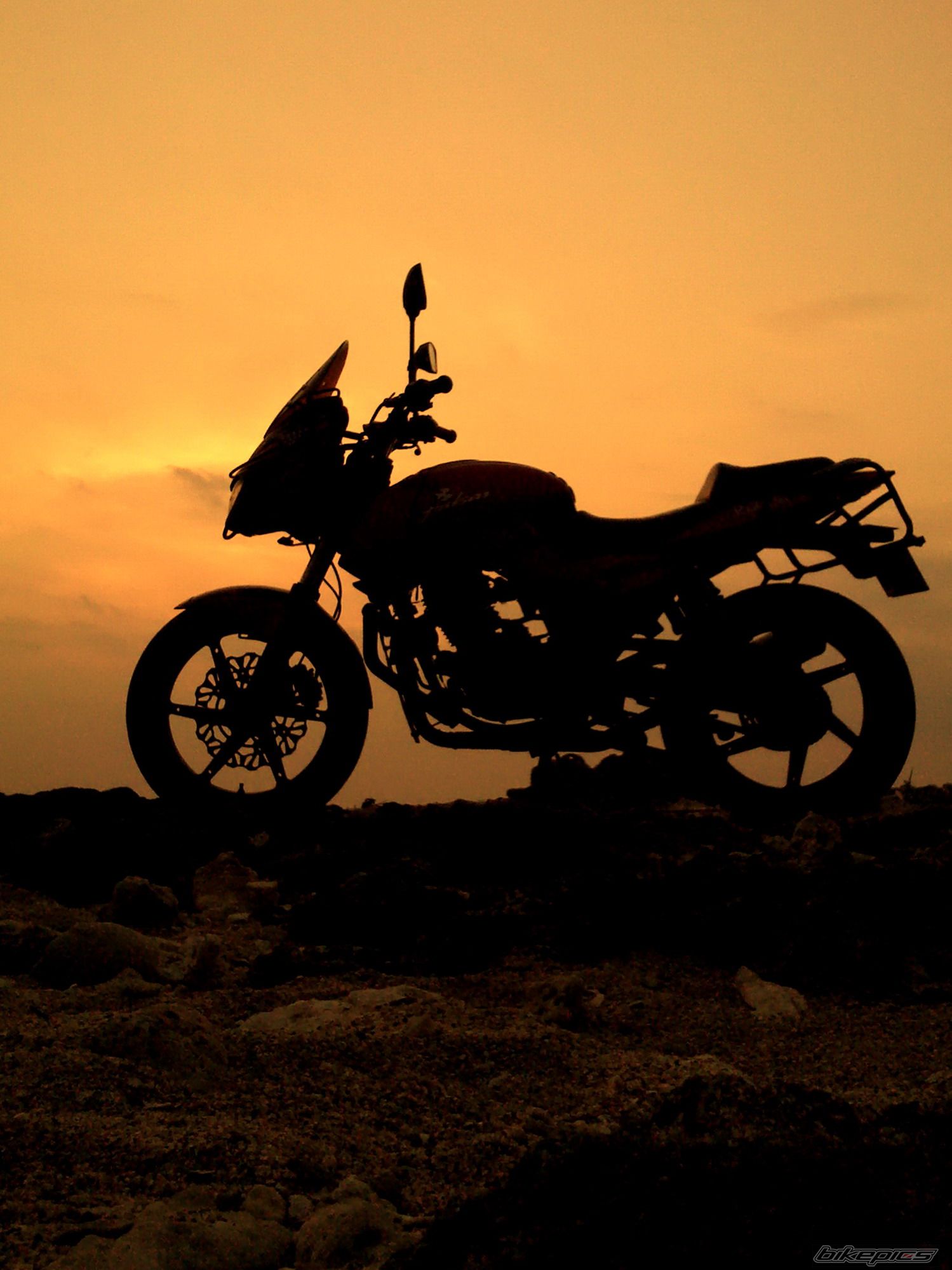 2008 BAJAJ PULSAR 200 | Picture 2395151 motorcycle photo