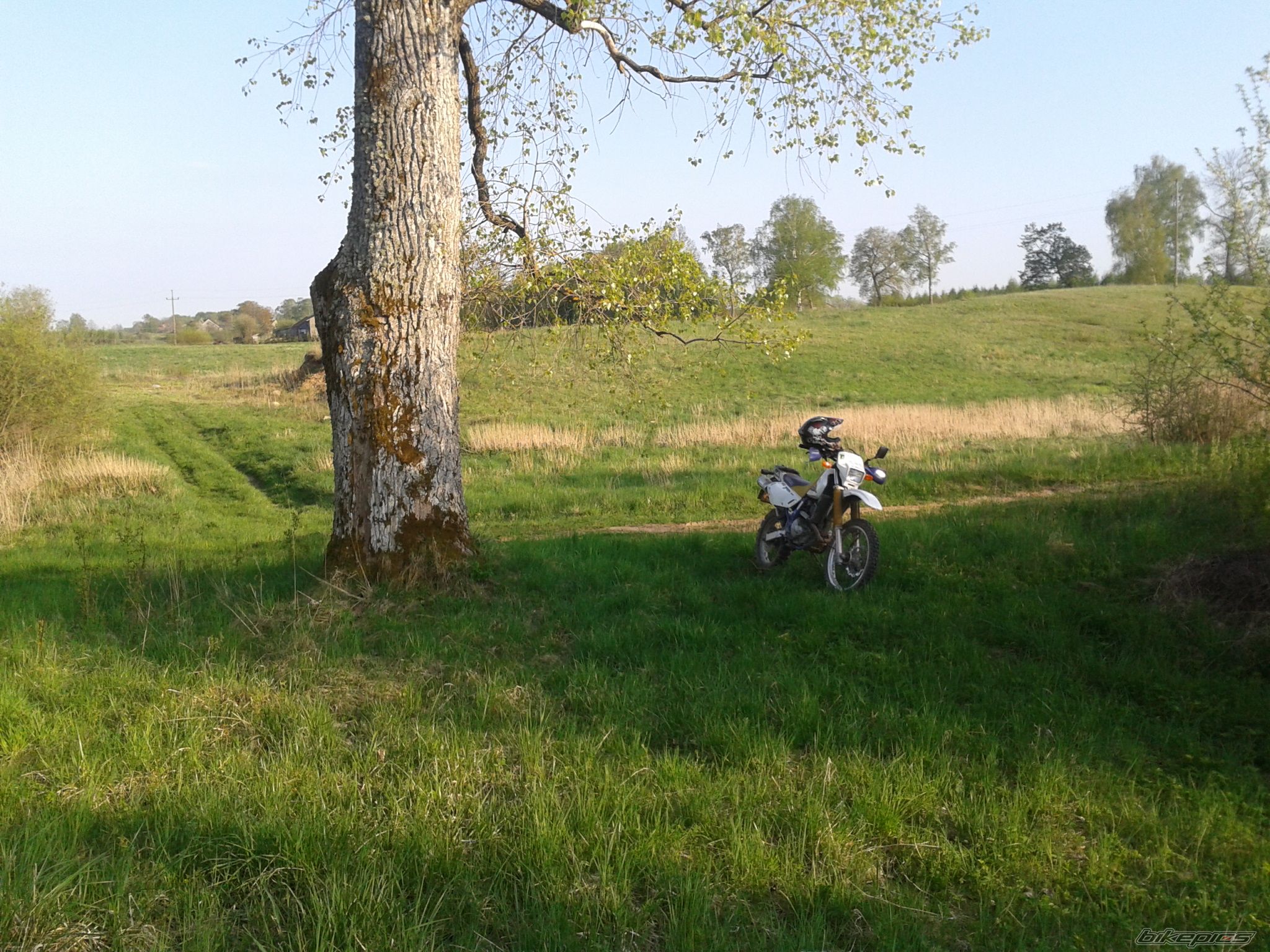 1997 SUZUKI DR 650 | Picture 2395247 motorcycle photo