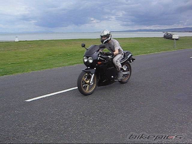 1978 YAMAHA FZR 250 | Picture 239537 motorcycle photo