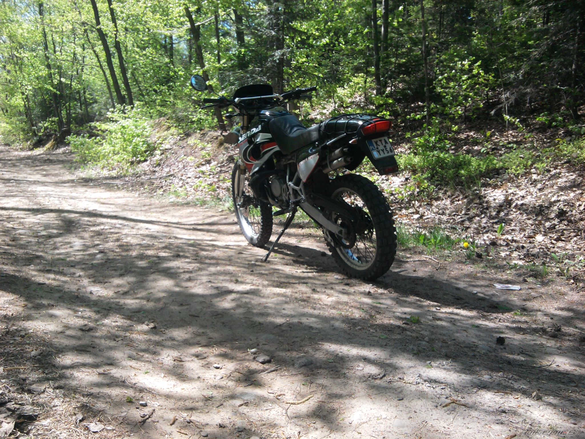 1999 DERBI SENDA R 50 | Picture 2395788 motorcycle photo