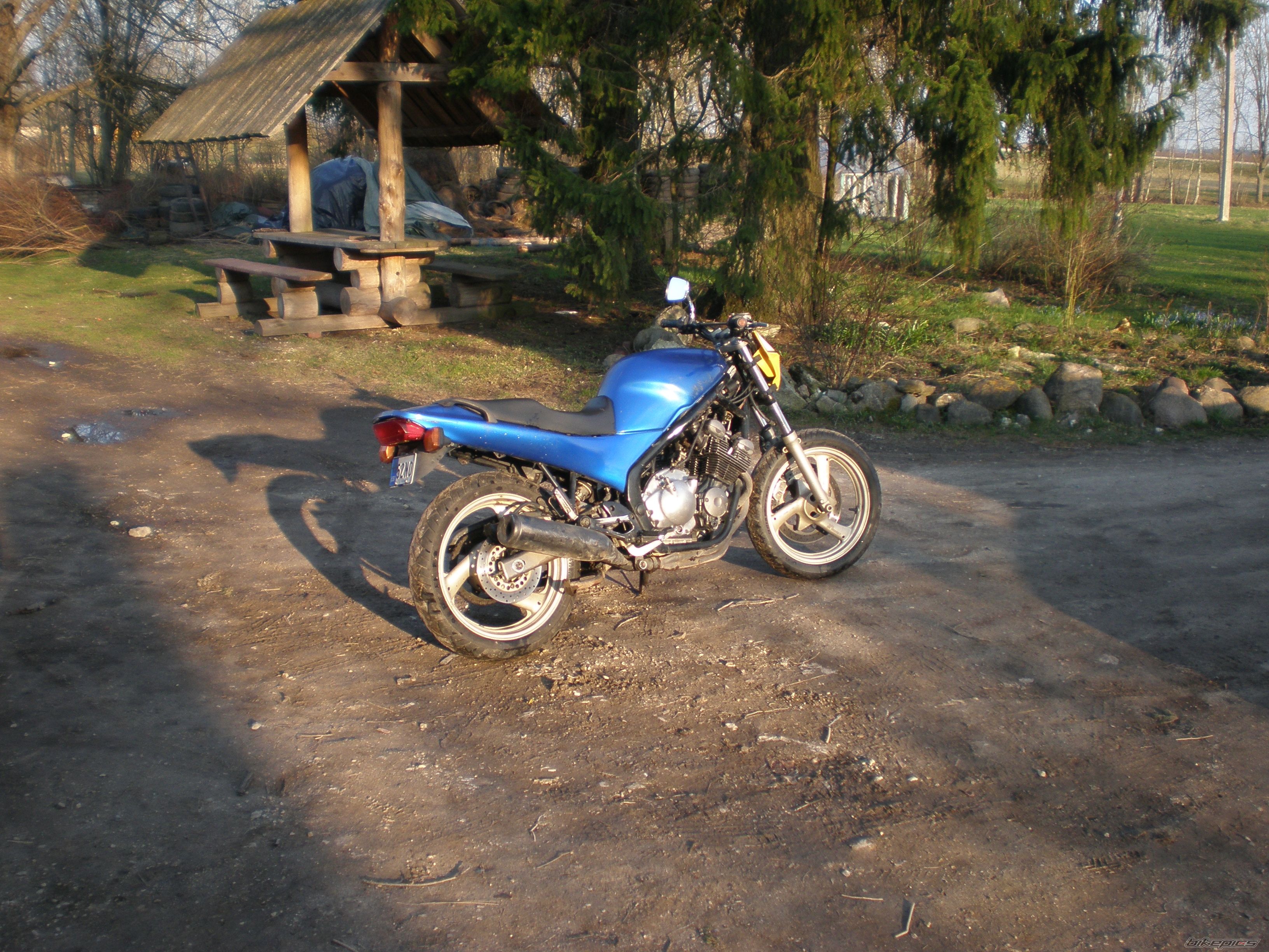 1996 YAMAHA XJ600 DIVERSION | Picture 2395789 motorcycle photo
