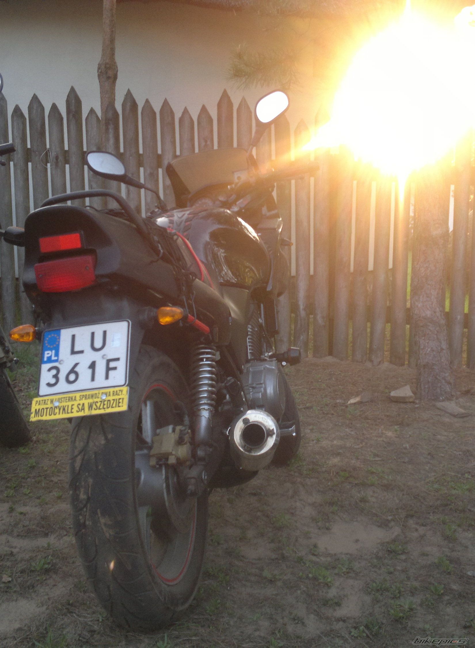 1999 HONDA CB 500 | Picture 2396175 motorcycle photo