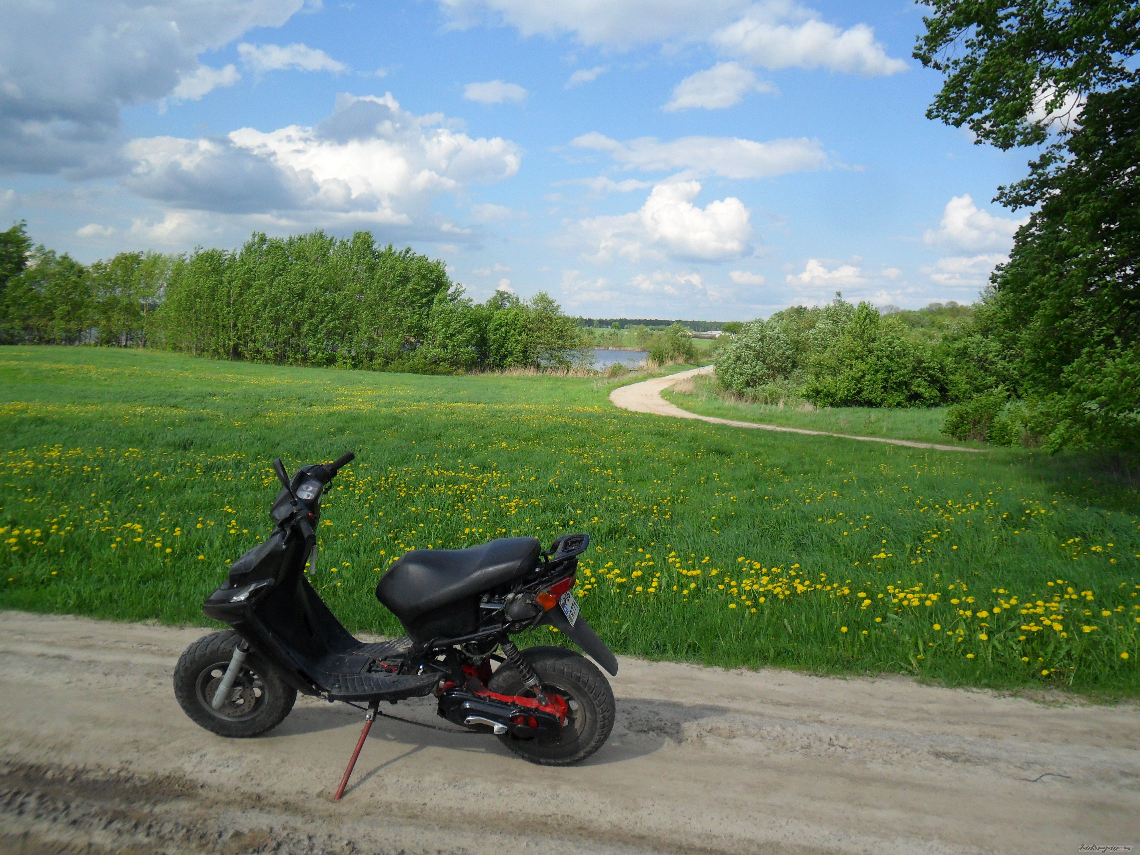 2001 YAMAHA BW 50 | Picture 2396435 motorcycle photo