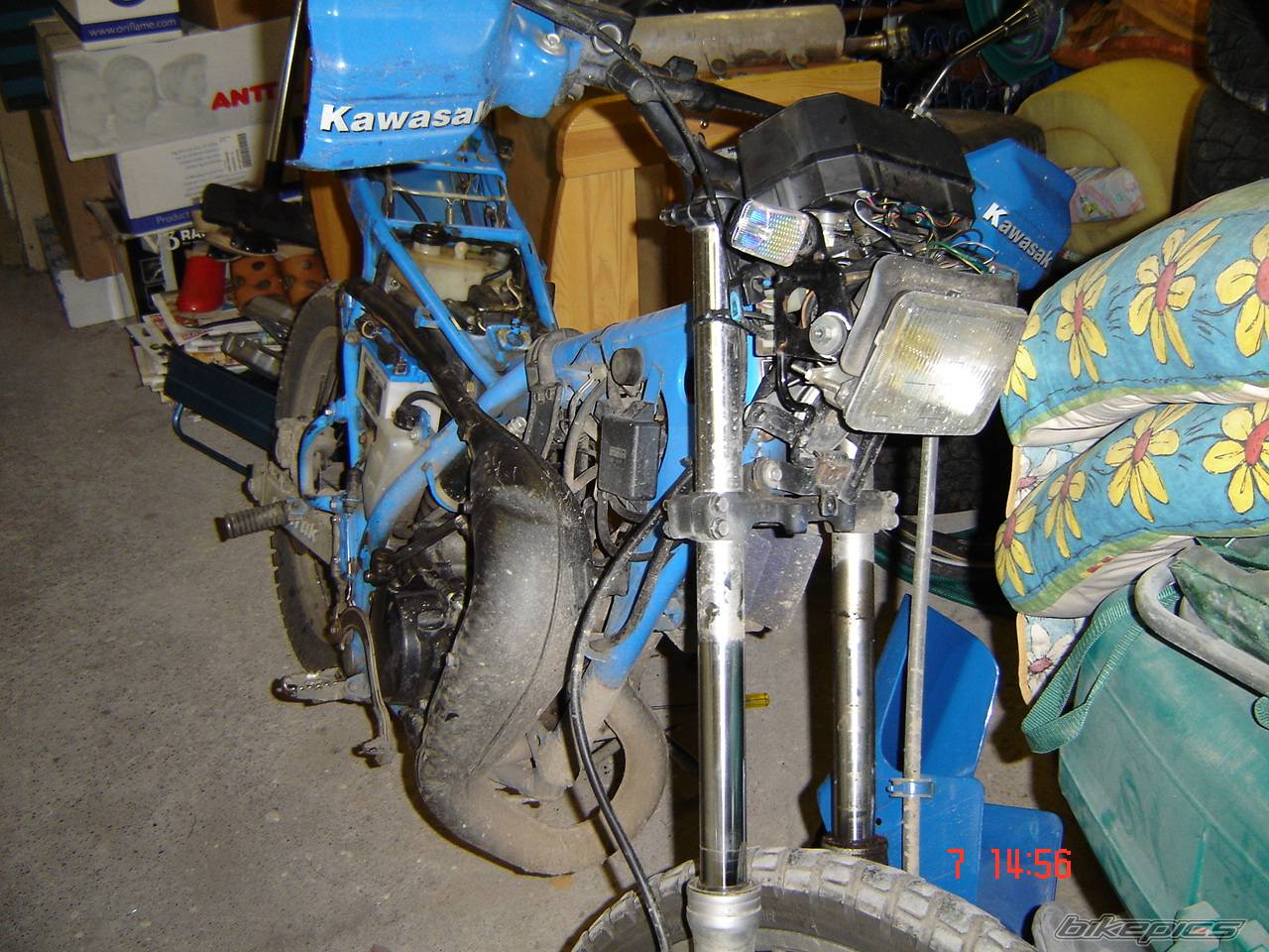 1990 KAWASAKI KMX 125 | Picture 239677 motorcycle photo