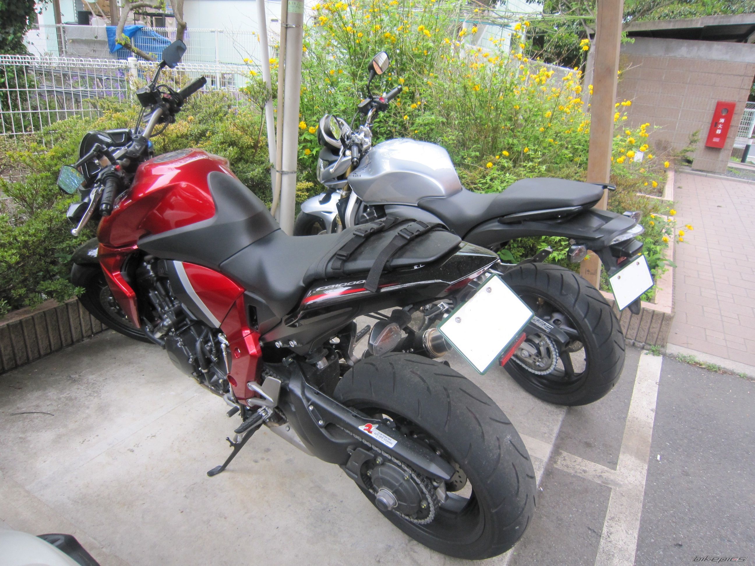 2010 HONDA CB 1000 R | Picture 2396854 motorcycle photo