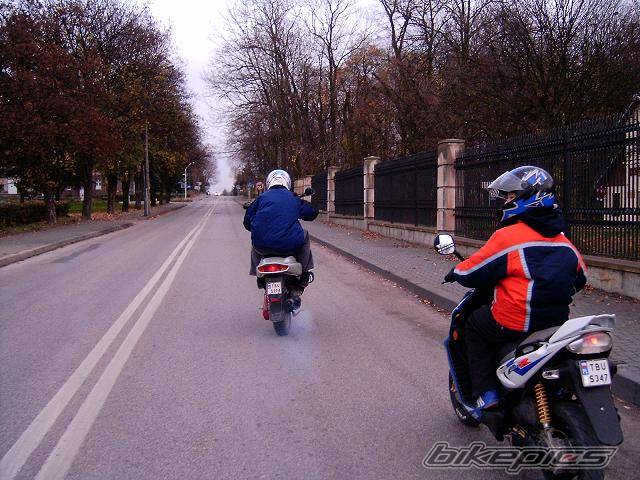 2004 APRILIA SR RACING 50 | Picture 239731 motorcycle photo