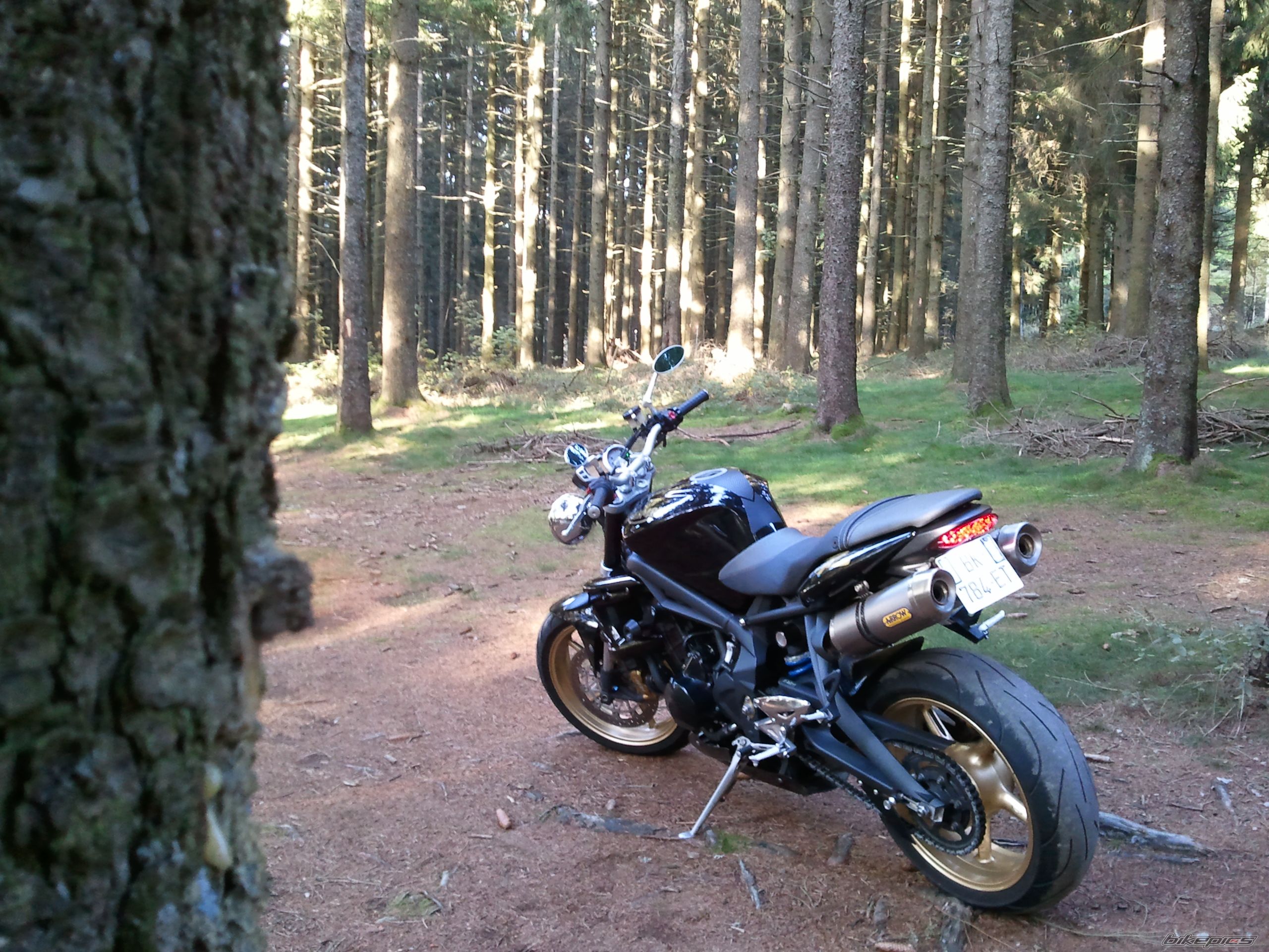 2011 TRIUMPH STREET TRIPLE R | Picture 2397571 motorcycle photo