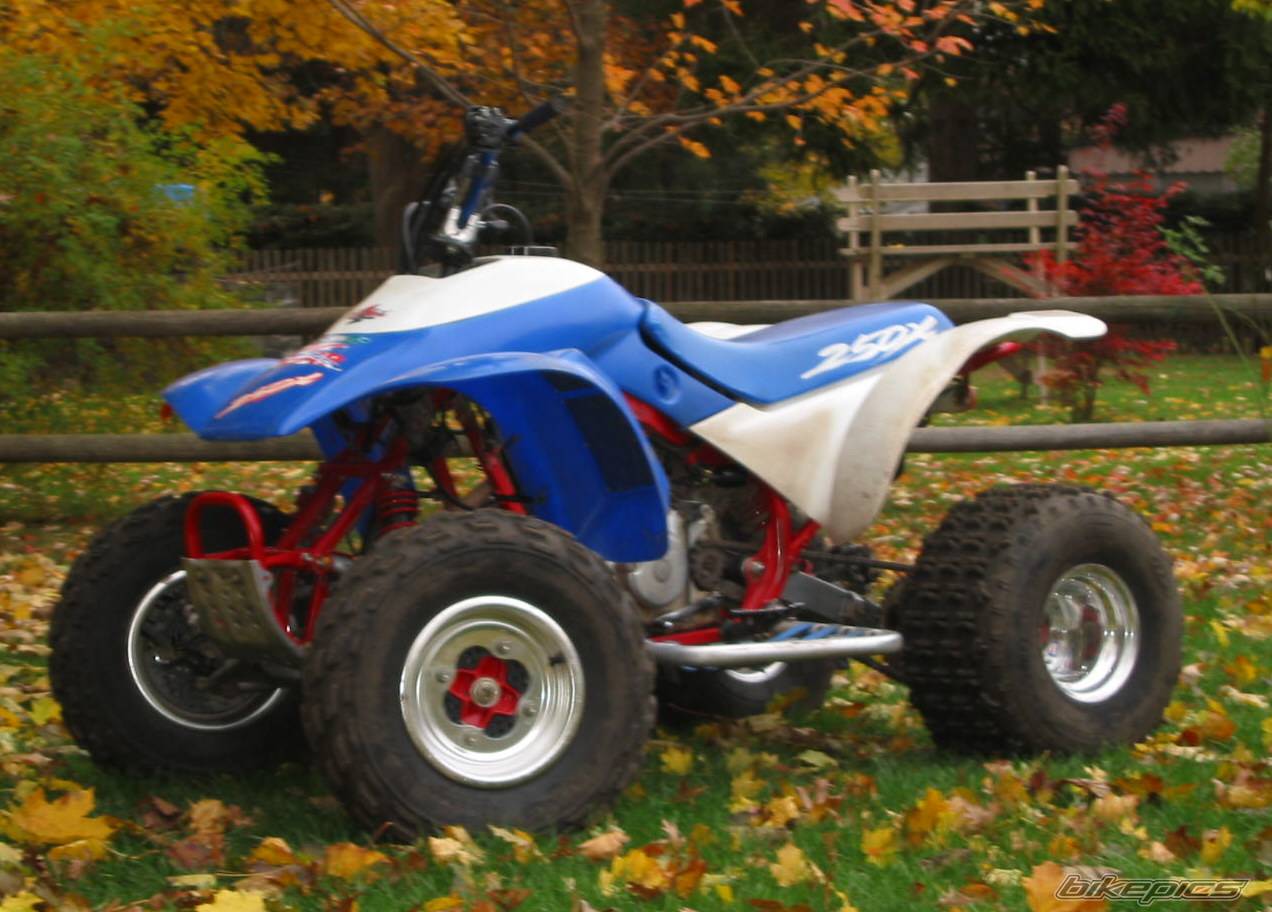 1991 HONDA 250EX | Picture 239780 motorcycle photo