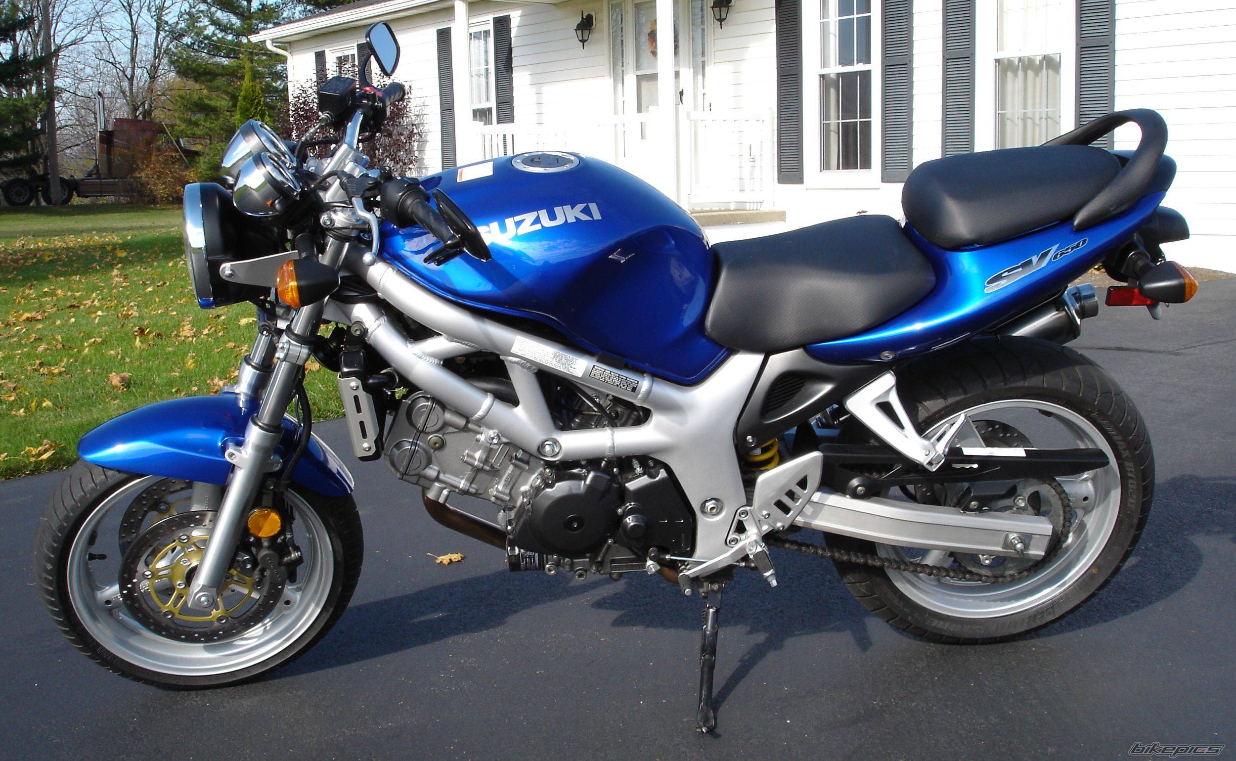 2001 SUZUKI SV 650 | Picture 239835 motorcycle photo