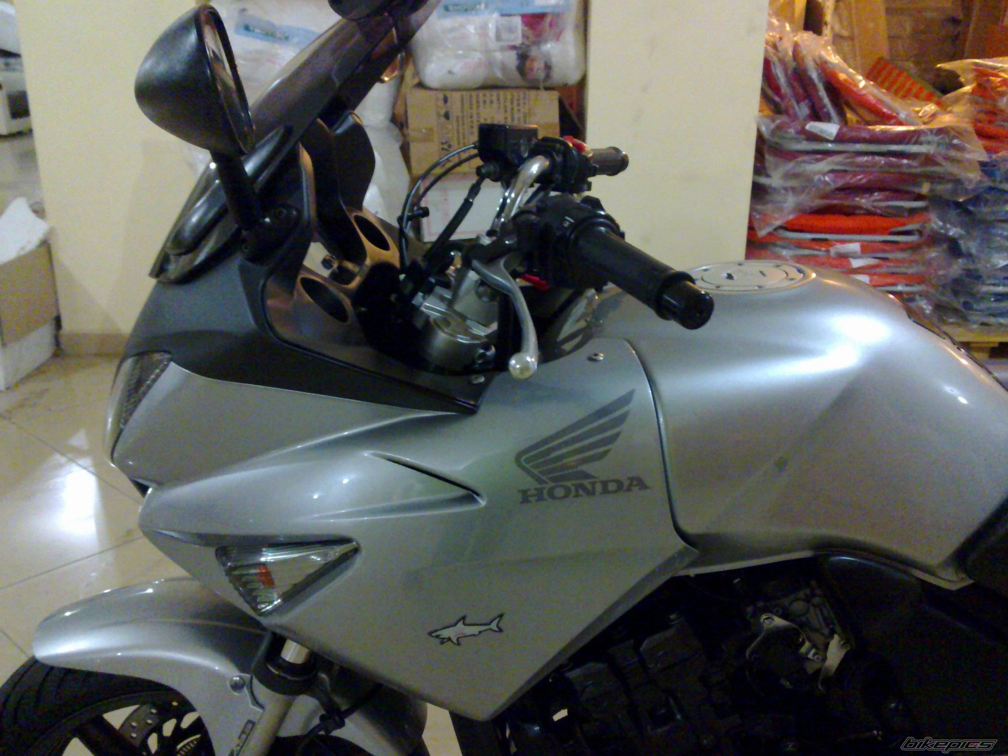 2006 HONDA CBF 600 | Picture 2398485 motorcycle photo