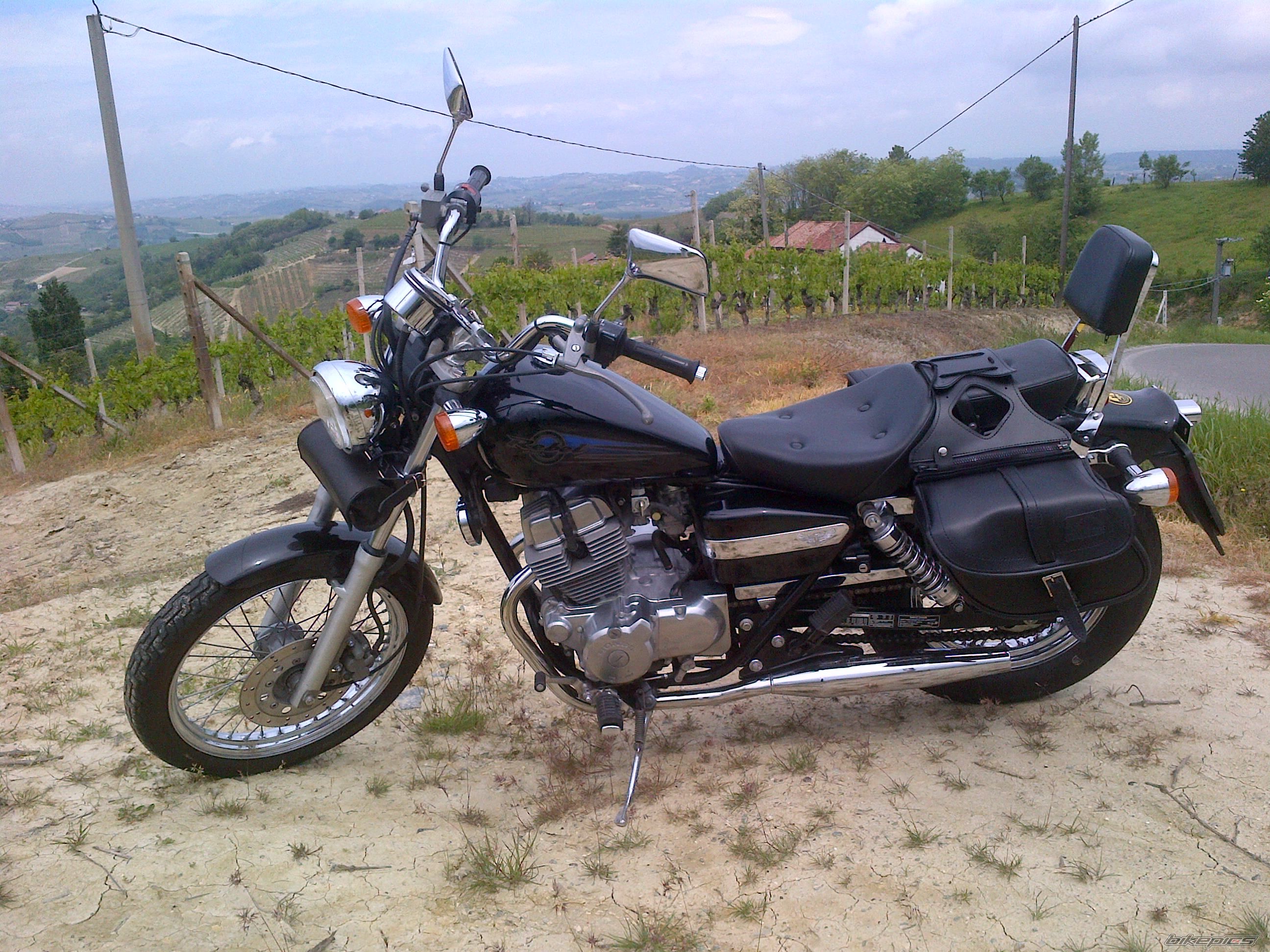 1999 HONDA CMX 250 | Picture 2398585 motorcycle photo