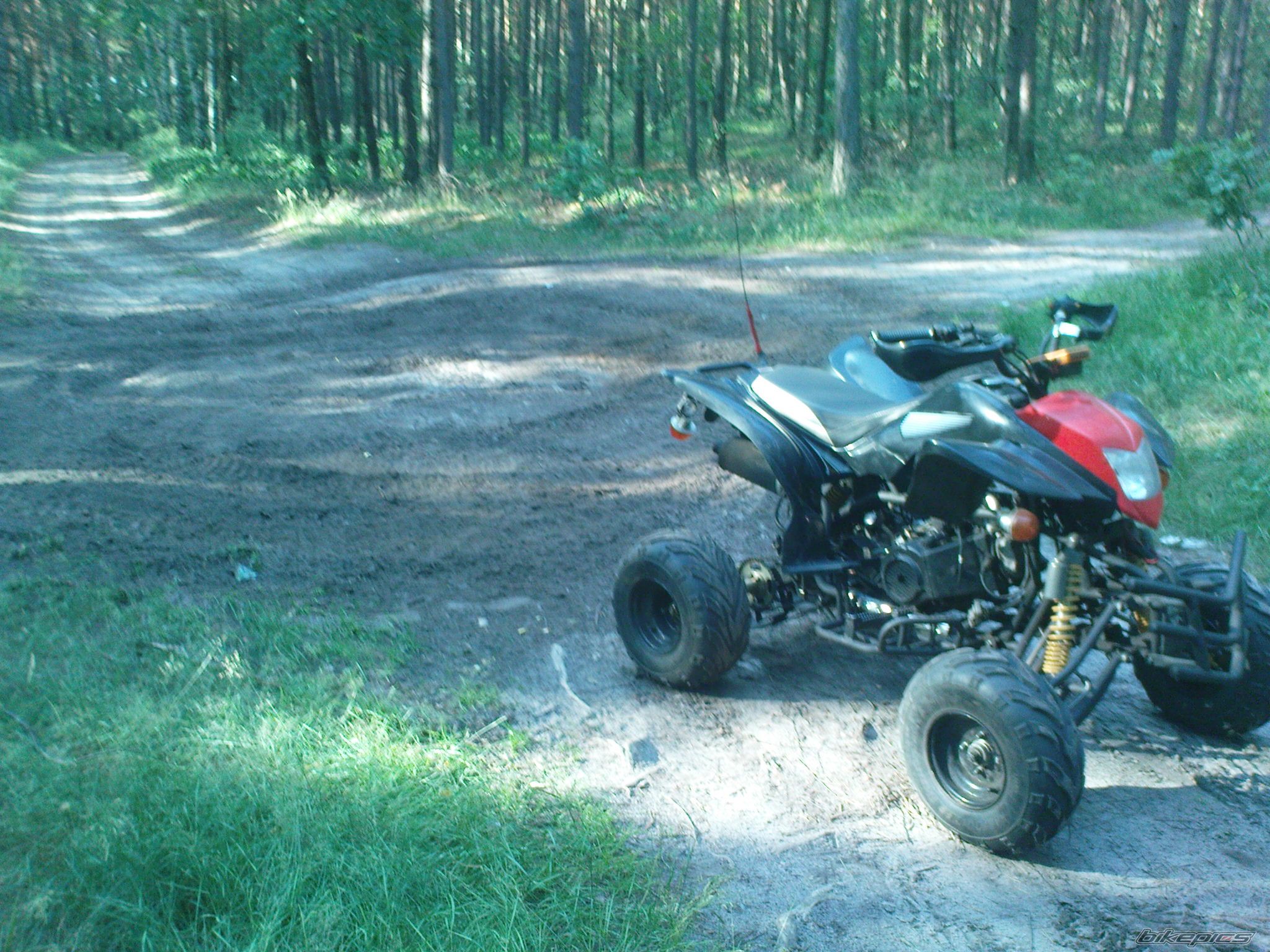 2008 BASHAN BS 200 | Picture 2398716 motorcycle photo