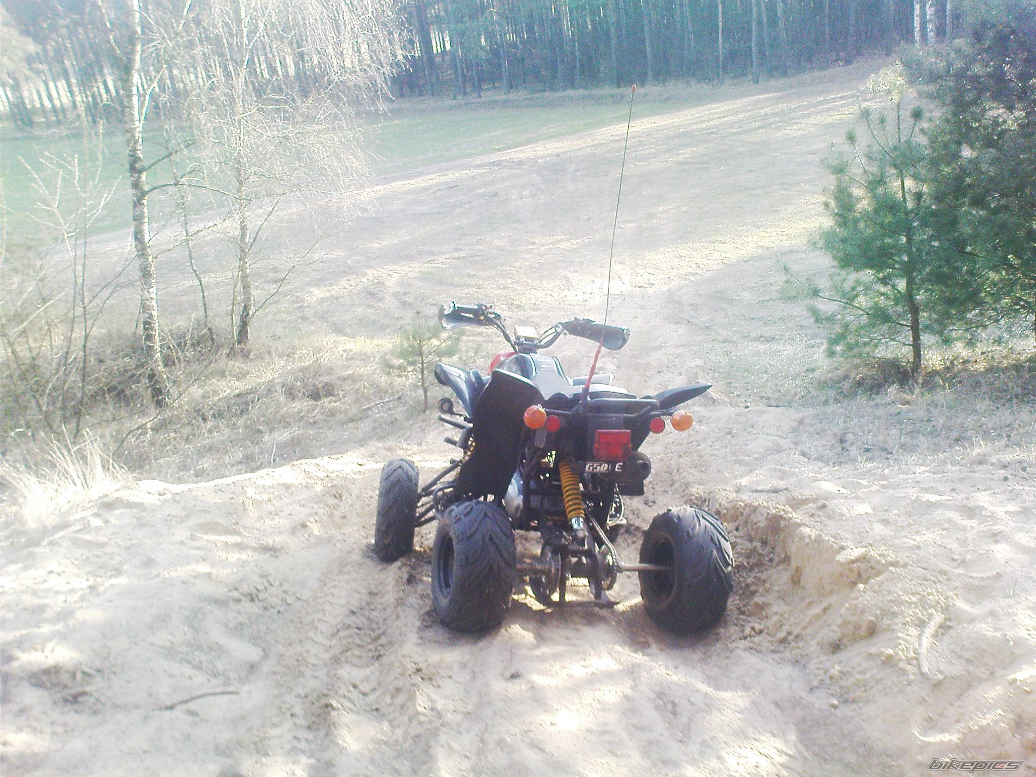 2008 BASHAN BS 200 | Picture 2398724 motorcycle photo