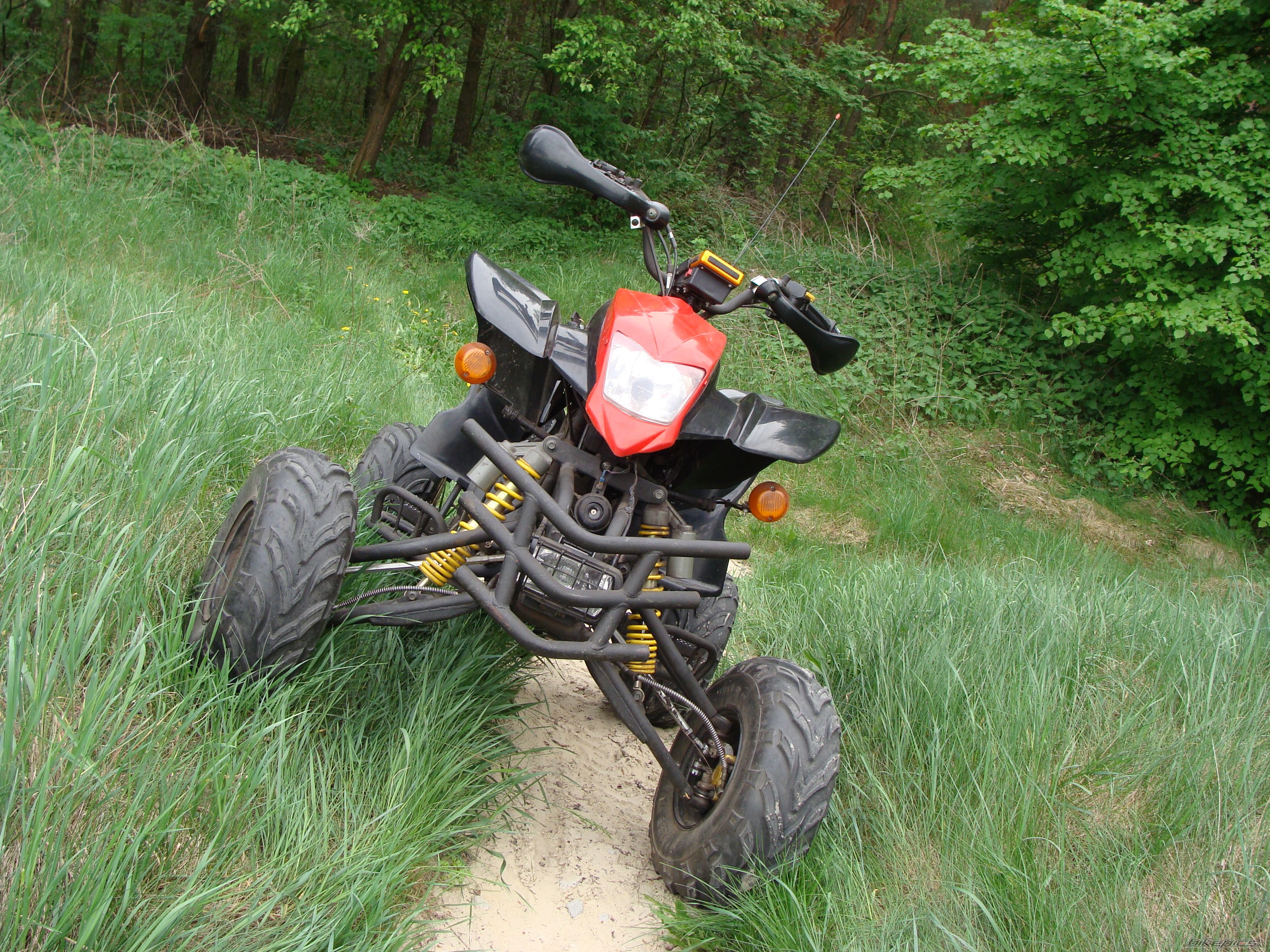 2008 BASHAN BS 200 | Picture 2398730 motorcycle photo