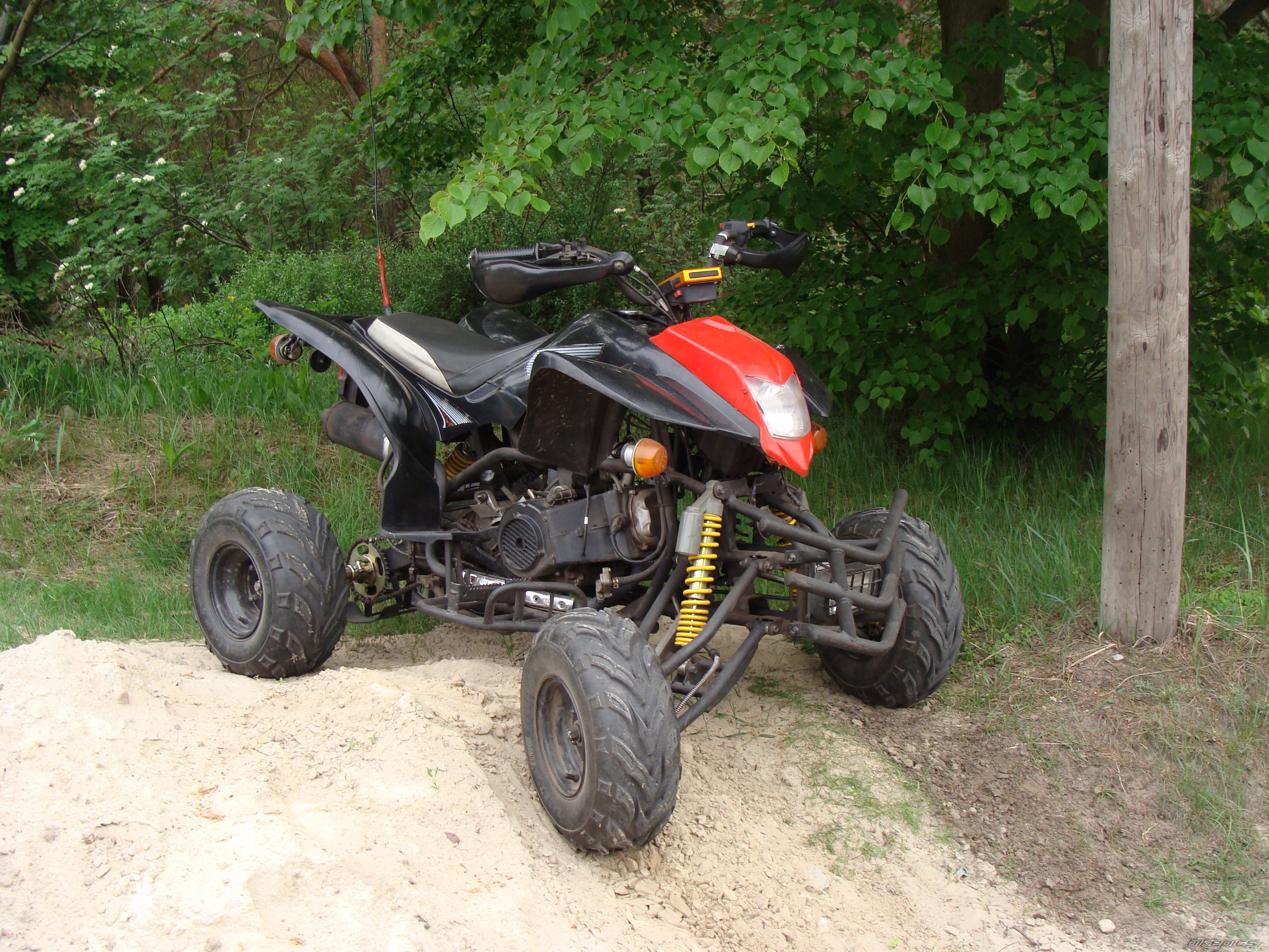 2008 BASHAN BS 200 | Picture 2398749 motorcycle photo