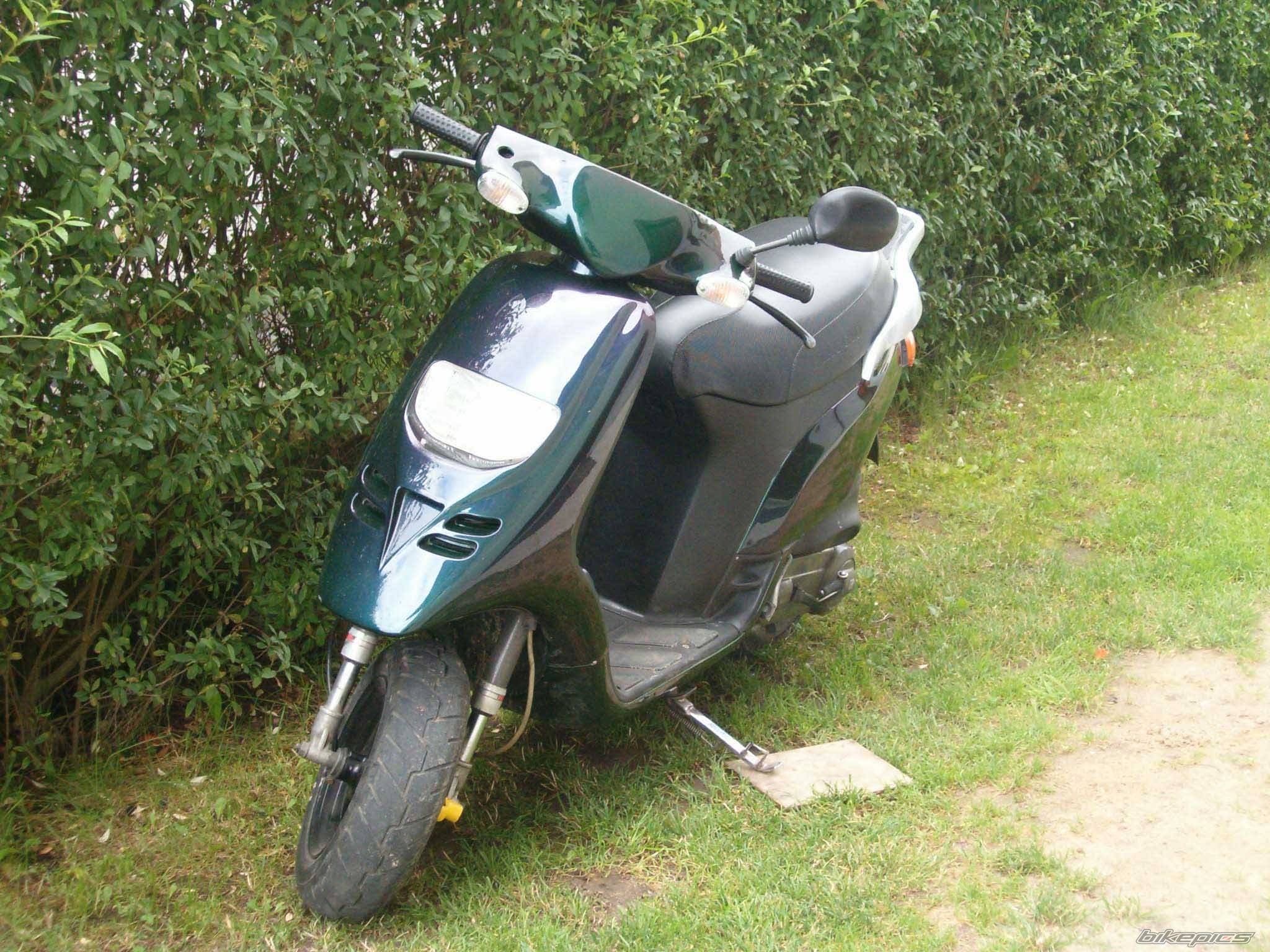 1996 PIAGGIO TPH 50 | Picture 239888 motorcycle photo