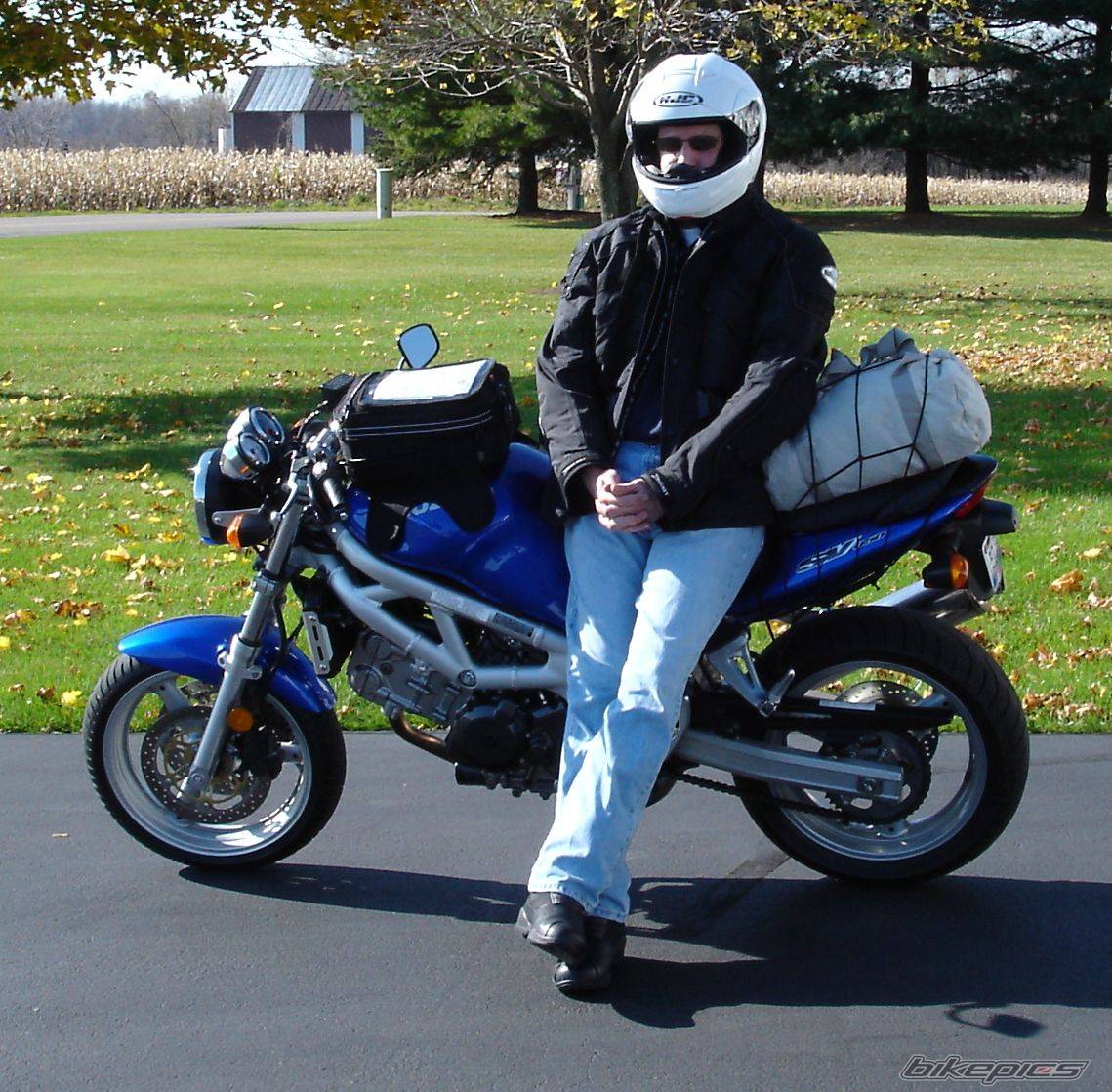 2001 SUZUKI SV 650 | Picture 239889 motorcycle photo