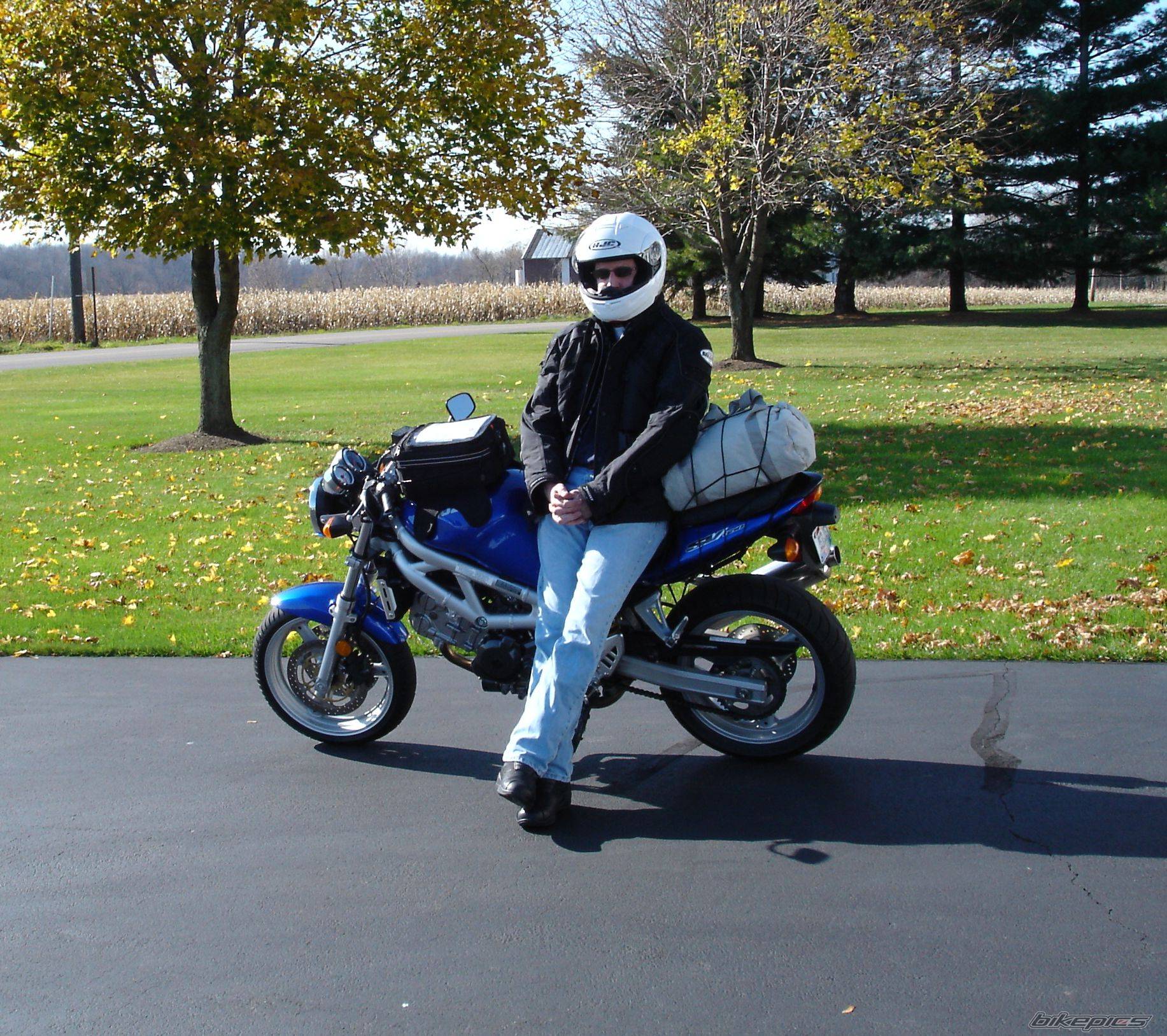 2001 SUZUKI SV 650 | Picture 239890 motorcycle photo