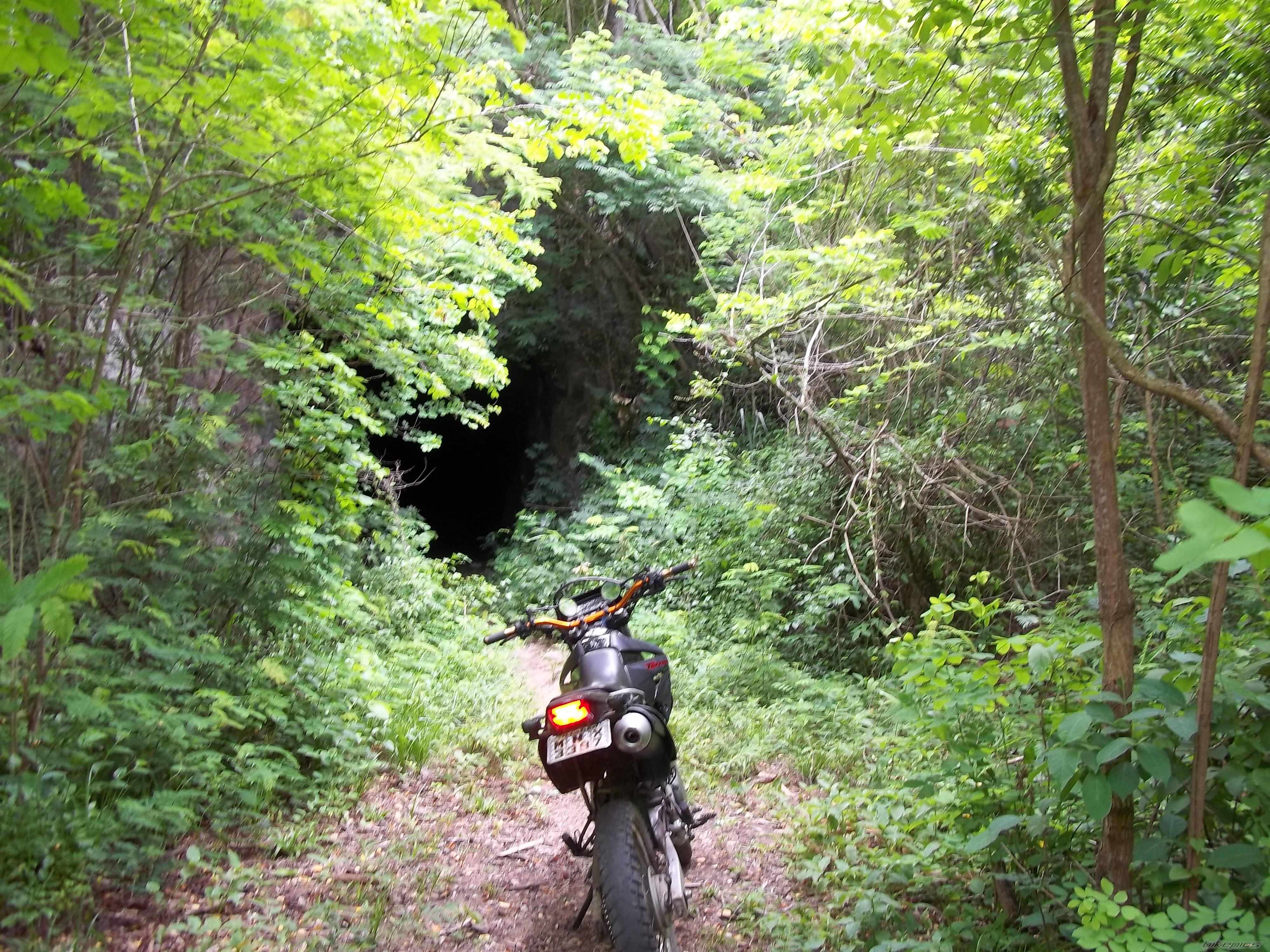 2007 HONDA XR TORNADO | Picture 2398944 motorcycle photo