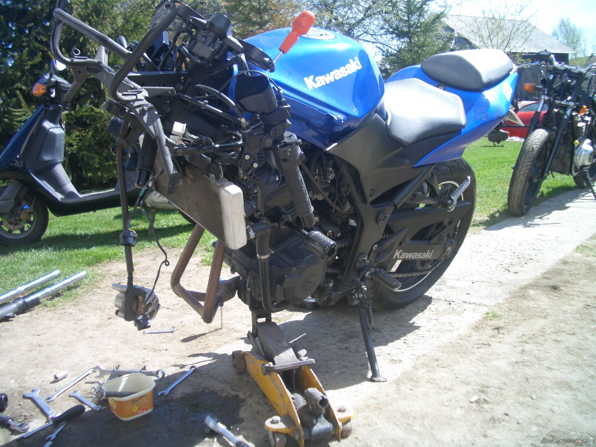    | Picture 2400254 motorcycle photo
