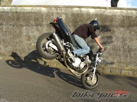 2002 SUZUKI BANDIT 600 | Picture 240037 motorcycle photo