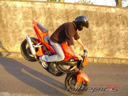2002 SUZUKI BANDIT 600 | Picture 240042 motorcycle photo