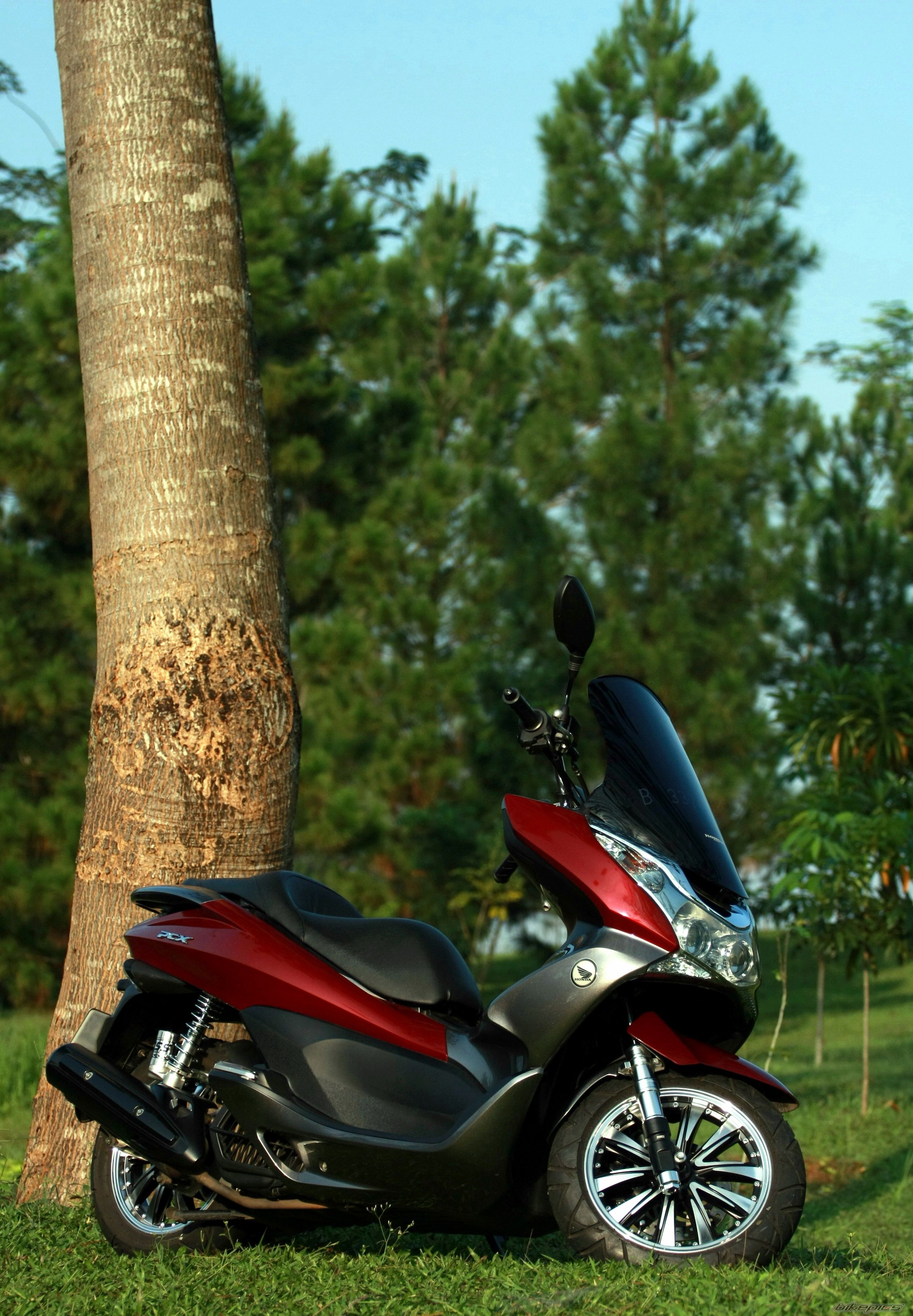 2010 HONDA PCX | Picture 2400672 motorcycle photo