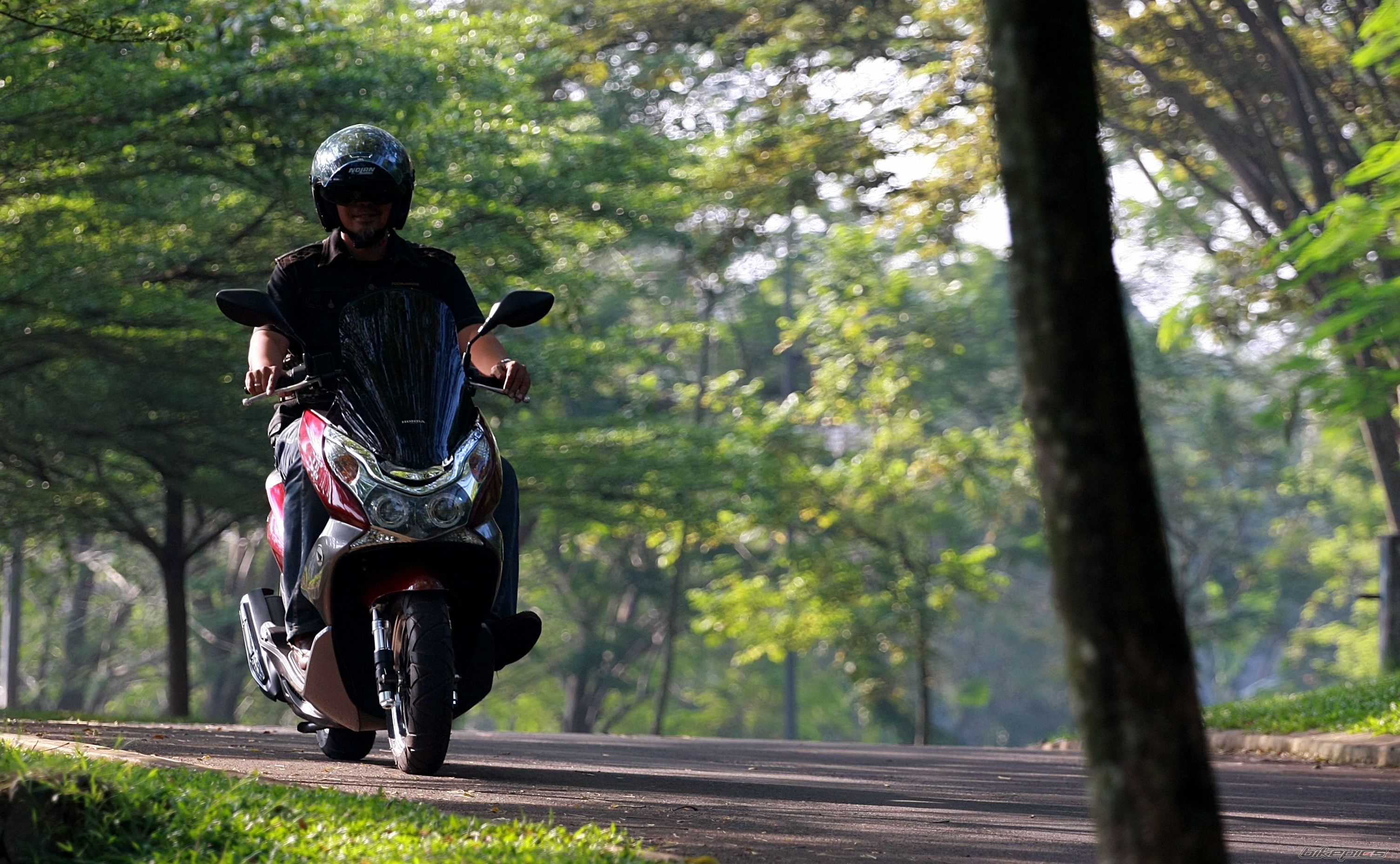 2010 HONDA PCX | Picture 2400675 motorcycle photo