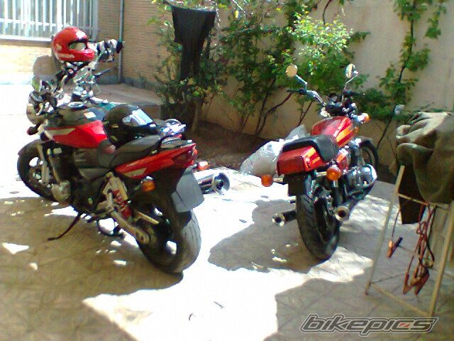 1981 SUZUKI GS 1000 | Picture 2400755 motorcycle photo