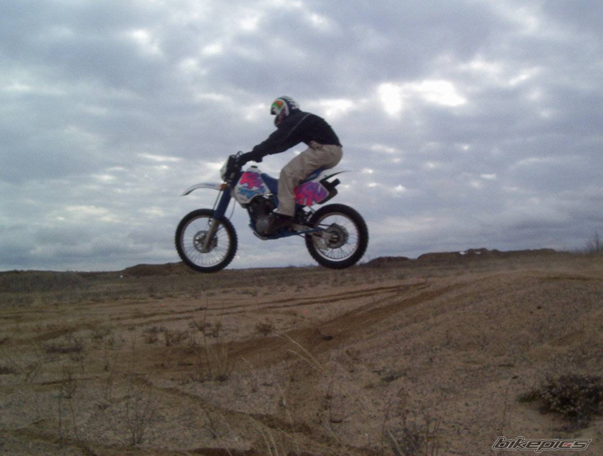 1992 SUZUKI DR 350 | Picture 240077 motorcycle photo
