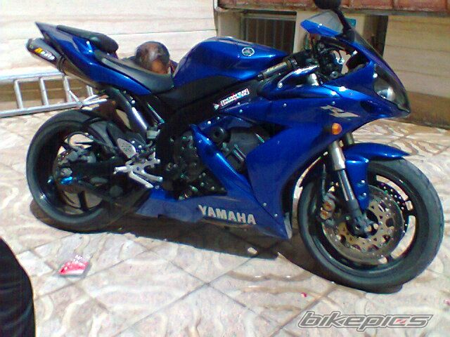 2006 YAMAHA R1 | Picture 2400831 motorcycle photo