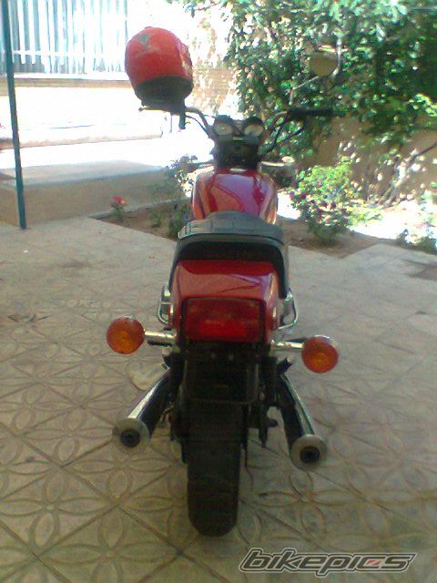 1981 SUZUKI GS 1000 | Picture 2400838 motorcycle photo