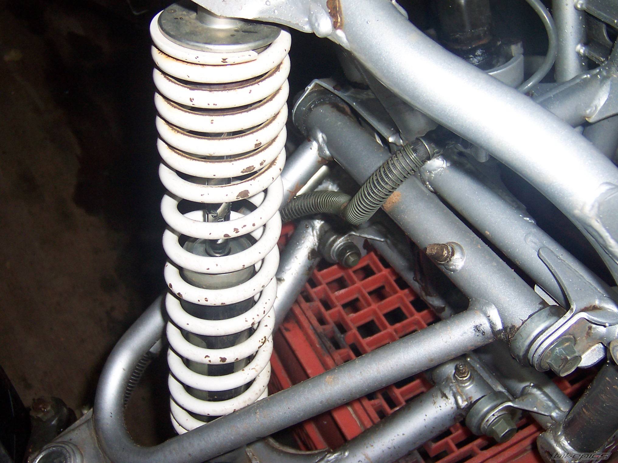 2003 YAMAHA RAPTOR YFM 660 | Picture 240095 motorcycle photo