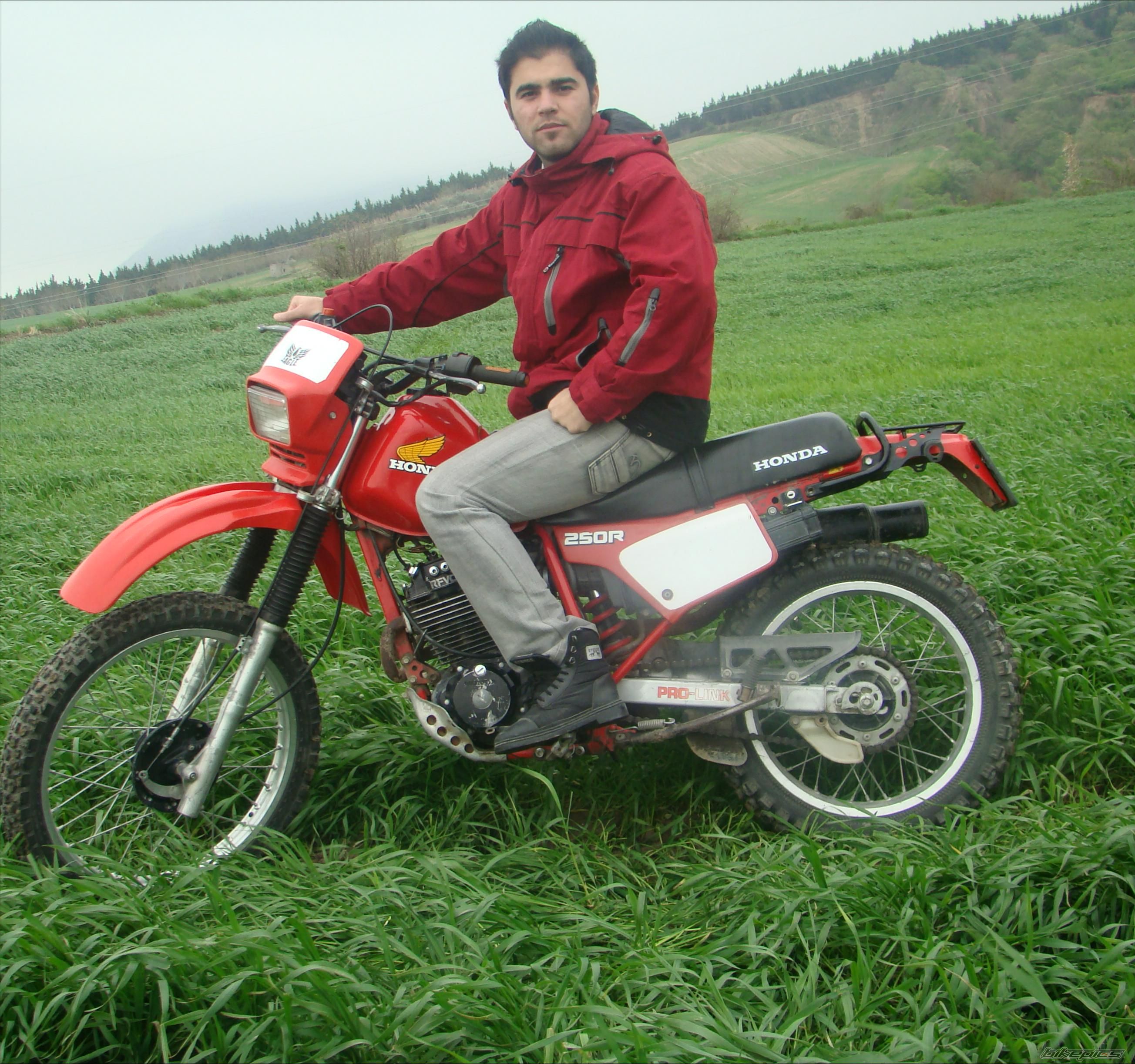 1986 HONDA XL 250 | Picture 2401264 motorcycle photo