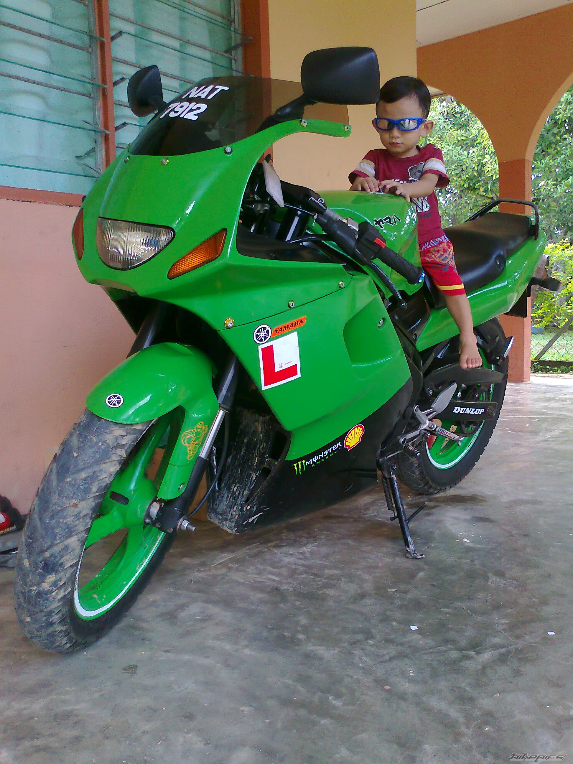 1996 YAMAHA TZM 150 | Picture 2401267 motorcycle photo