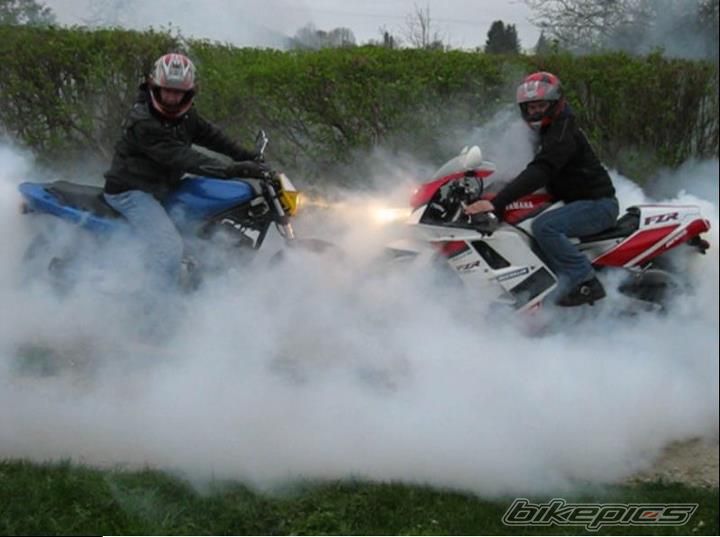 1996 YAMAHA XJ600 DIVERSION | Picture 2401295 motorcycle photo