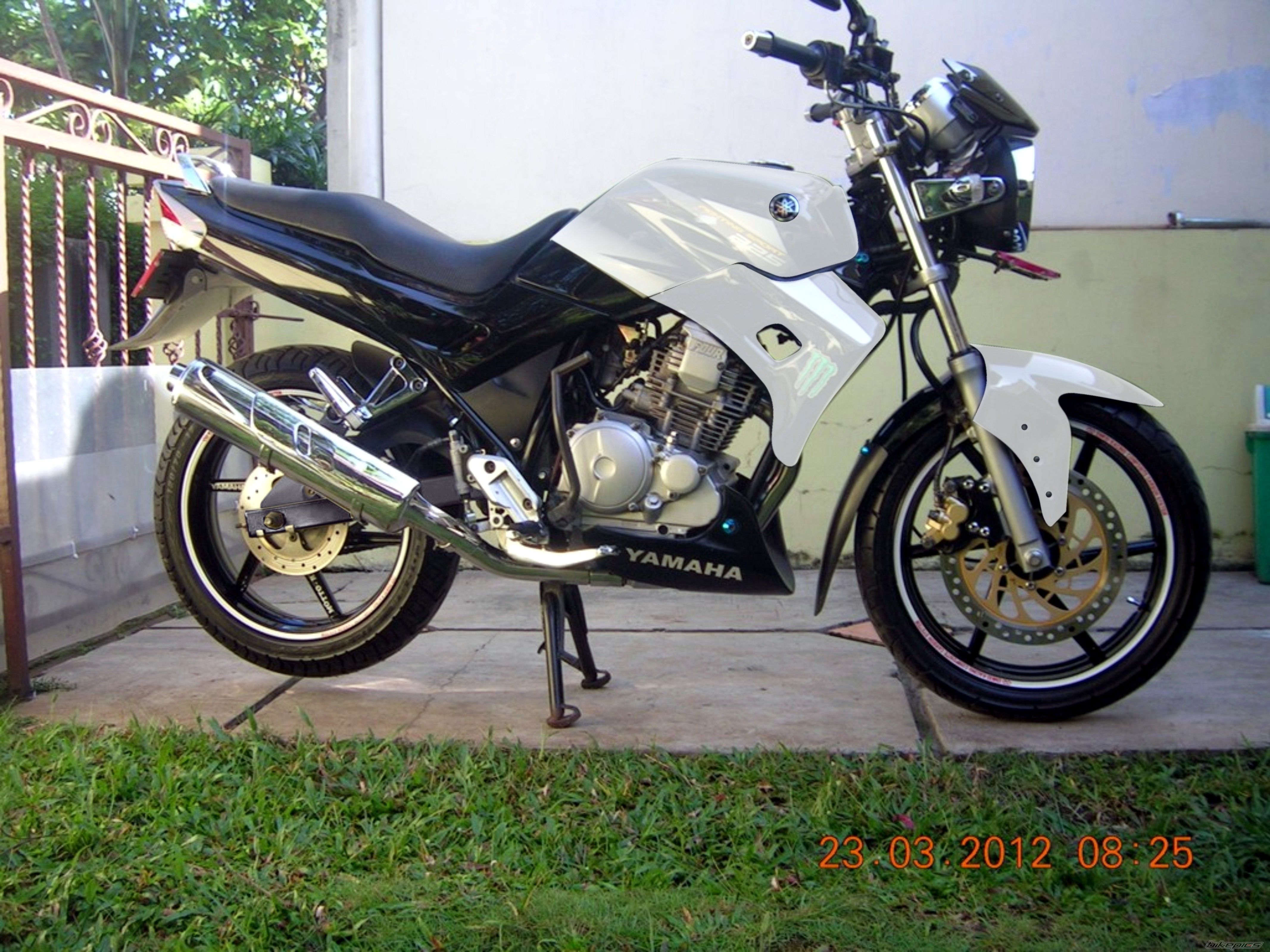 2012 YAMAHA SCORPIO 225 | Picture 2401331 motorcycle photo