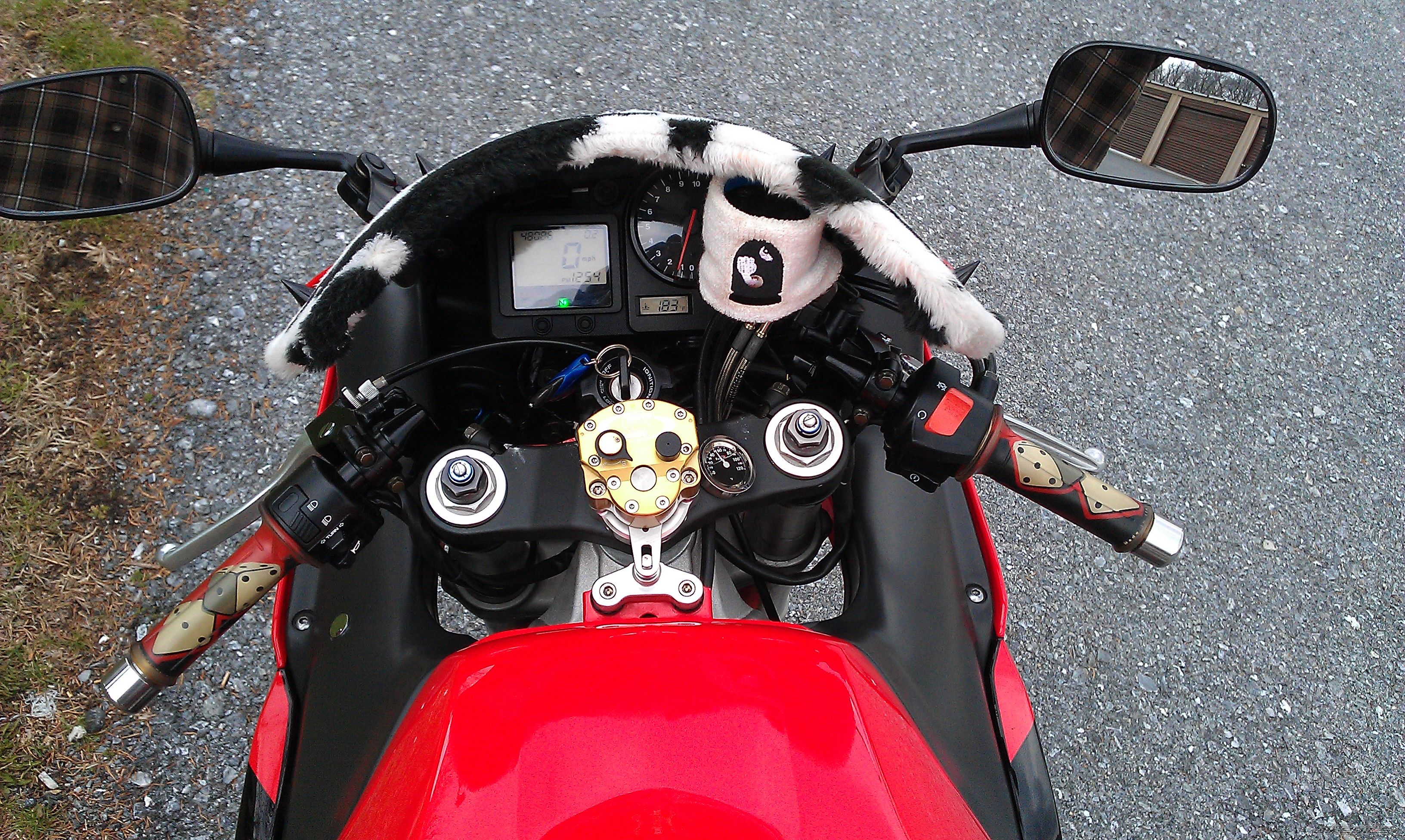 2001 HONDA CBR 900 | Picture 2401957 motorcycle photo