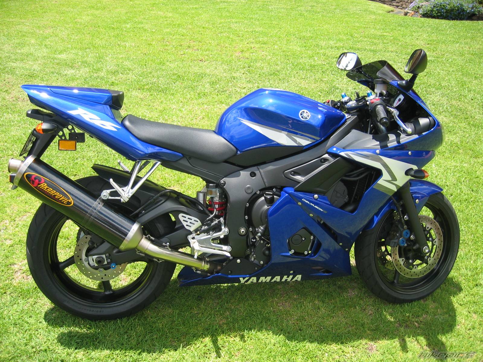 2004 YAMAHA YZF R6 | Picture 240244 motorcycle photo