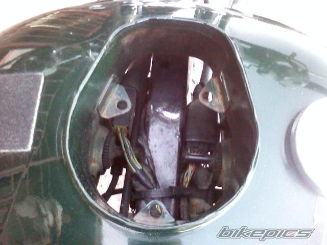 2000 SUZUKI SAVAGE | Picture 2402674 motorcycle photo