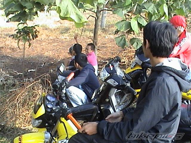 2004 SUZUKI RAIDER 125 | Picture 240295 motorcycle photo