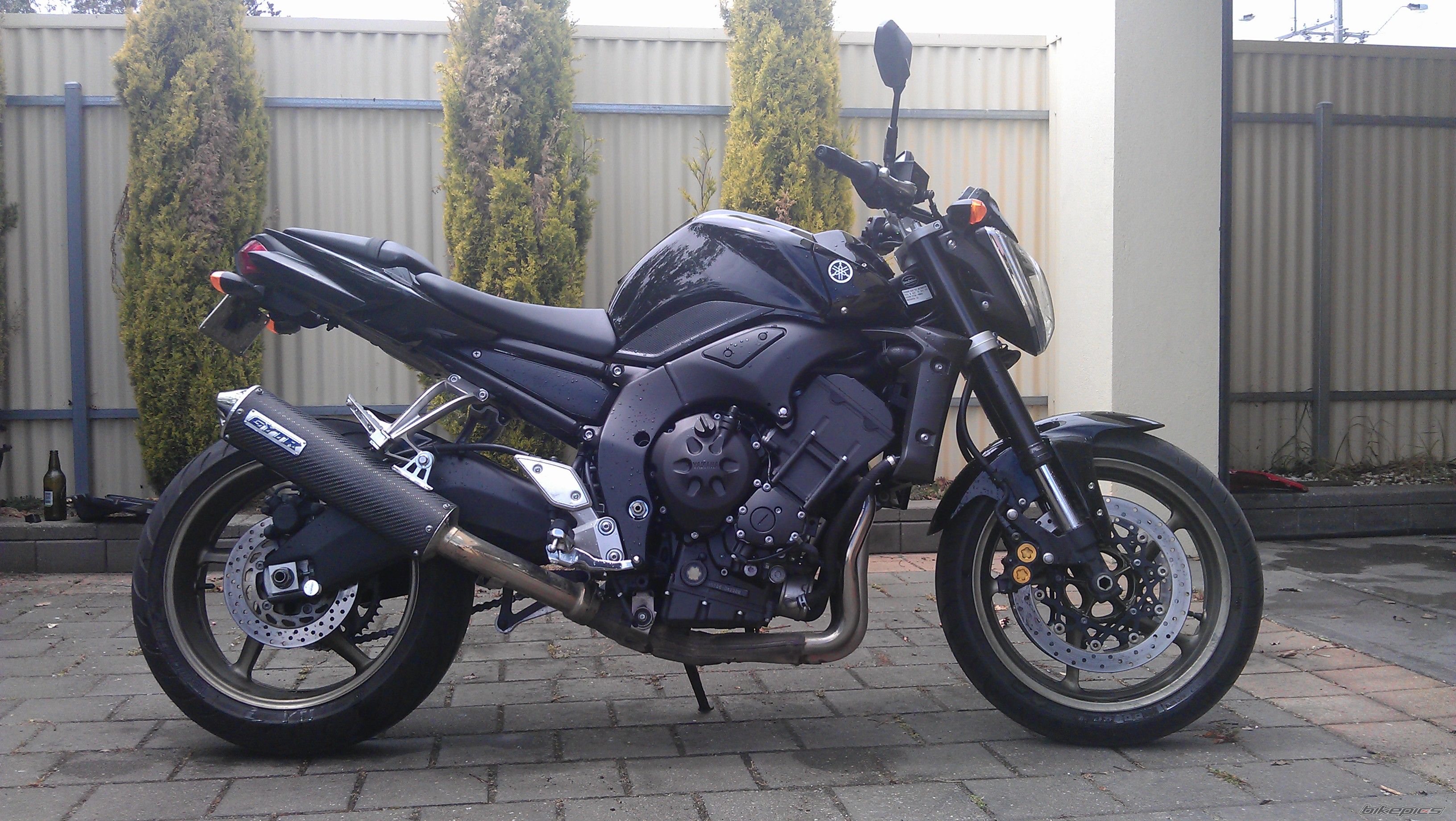 2008 YAMAHA FZ 1N | Picture 2403449 motorcycle photo