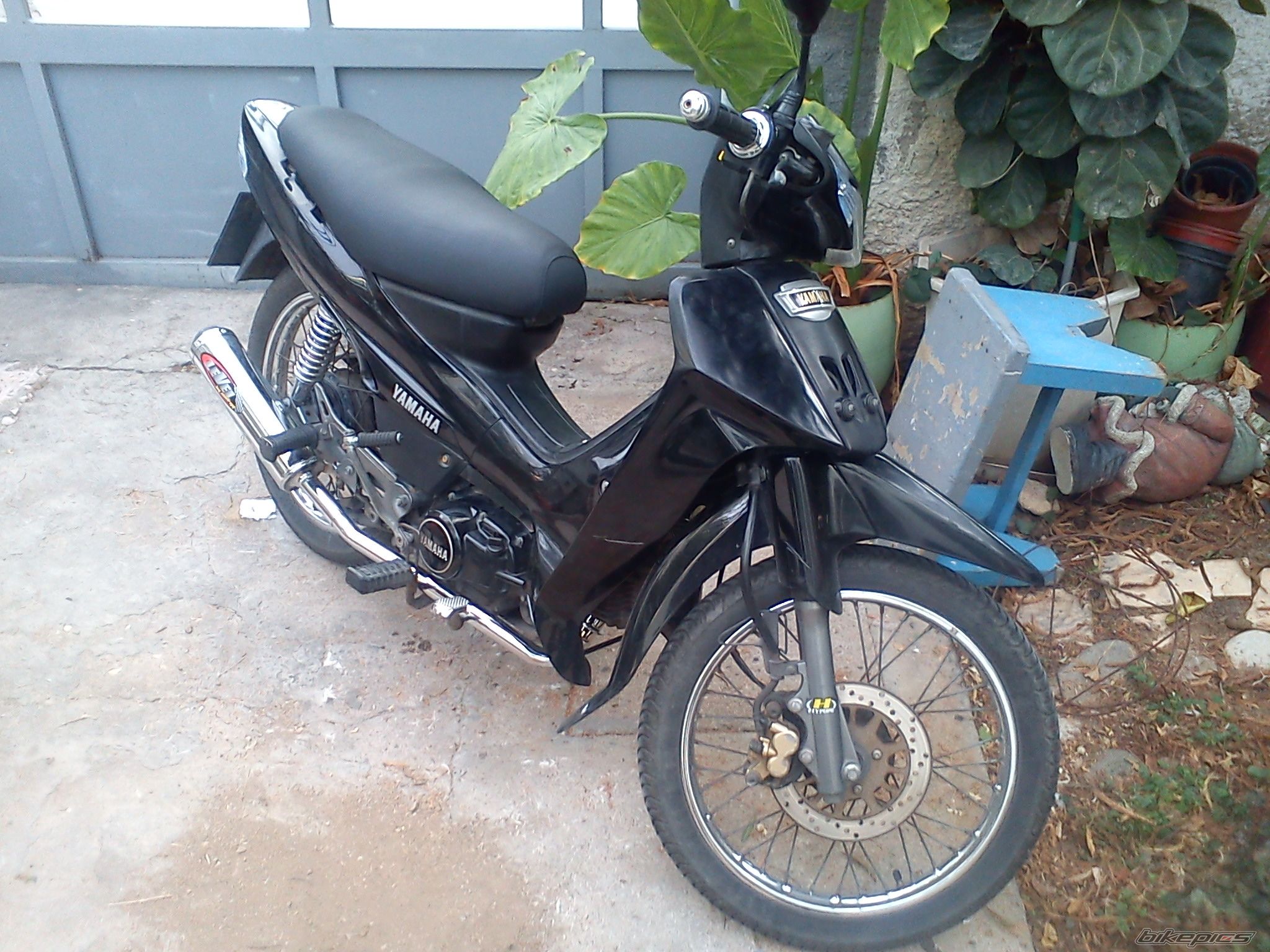 2000 YAMAHA CRYPTON R 105 | Picture 2403736 motorcycle photo