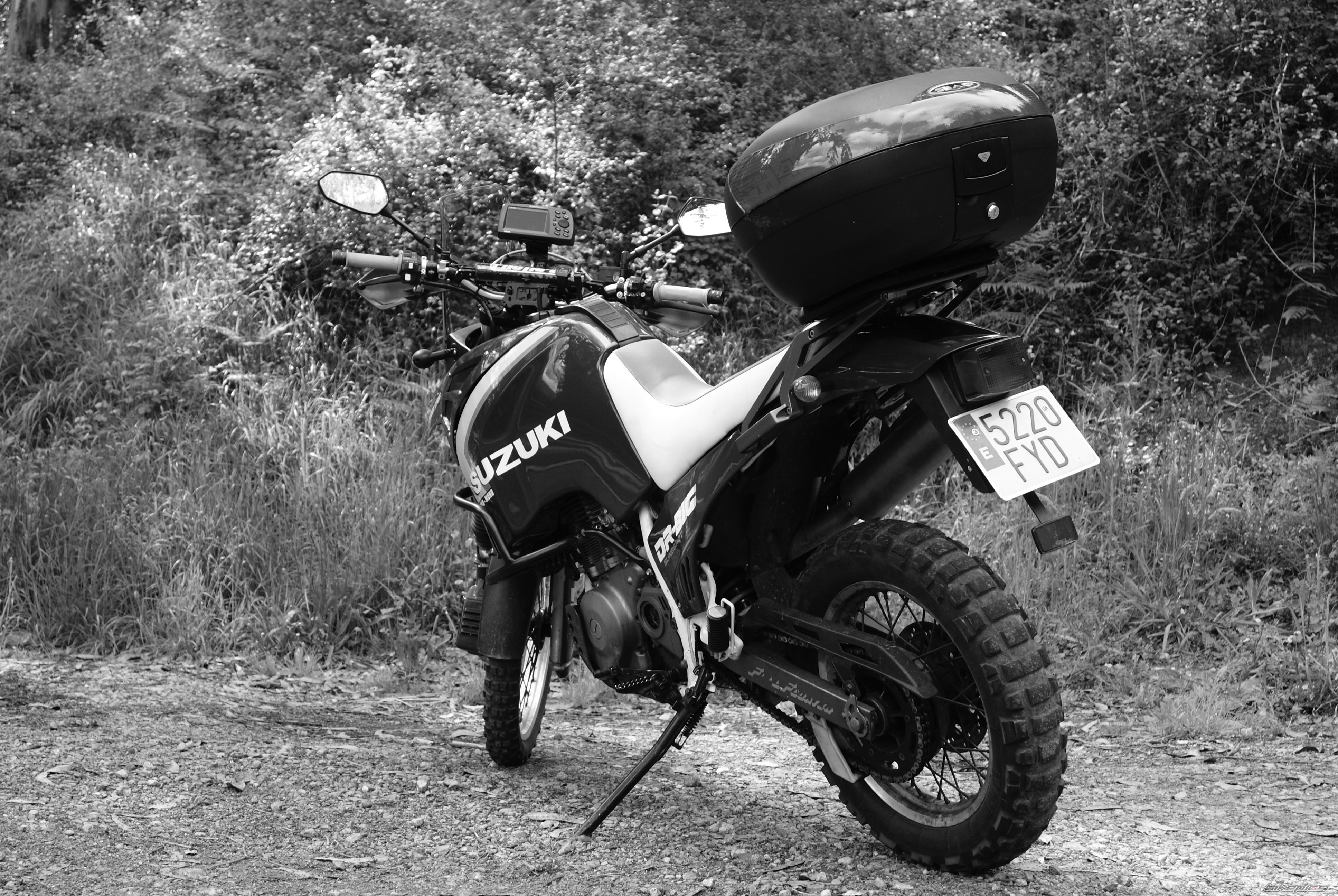 1990 SUZUKI DR  750 | Picture 2403919 motorcycle photo