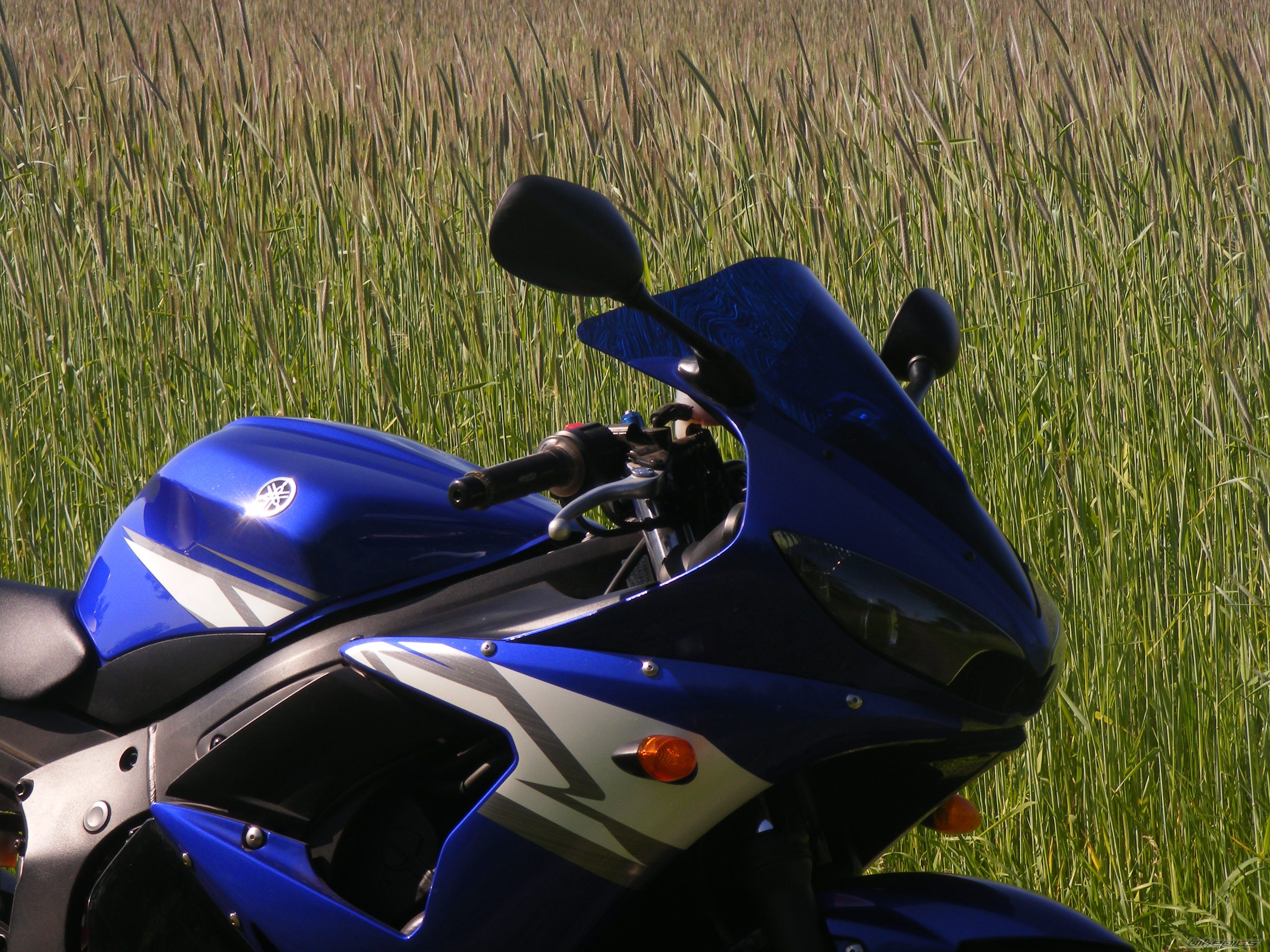 2004 YAMAHA YZF R6 | Picture 2404609 motorcycle photo