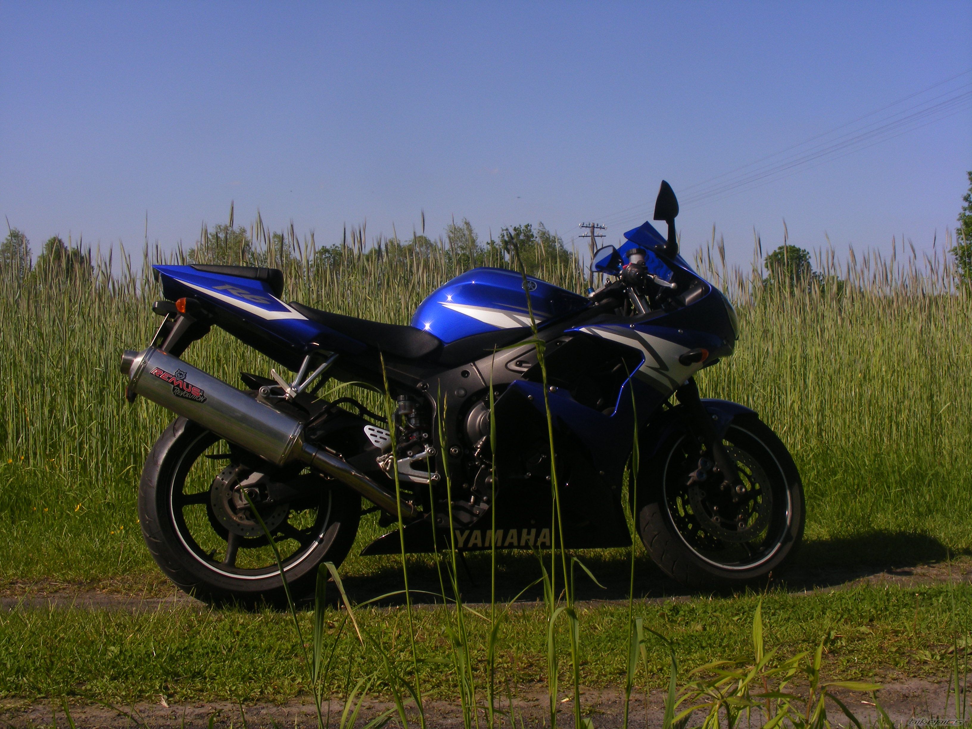 2004 YAMAHA YZF R6 | Picture 2404611 motorcycle photo