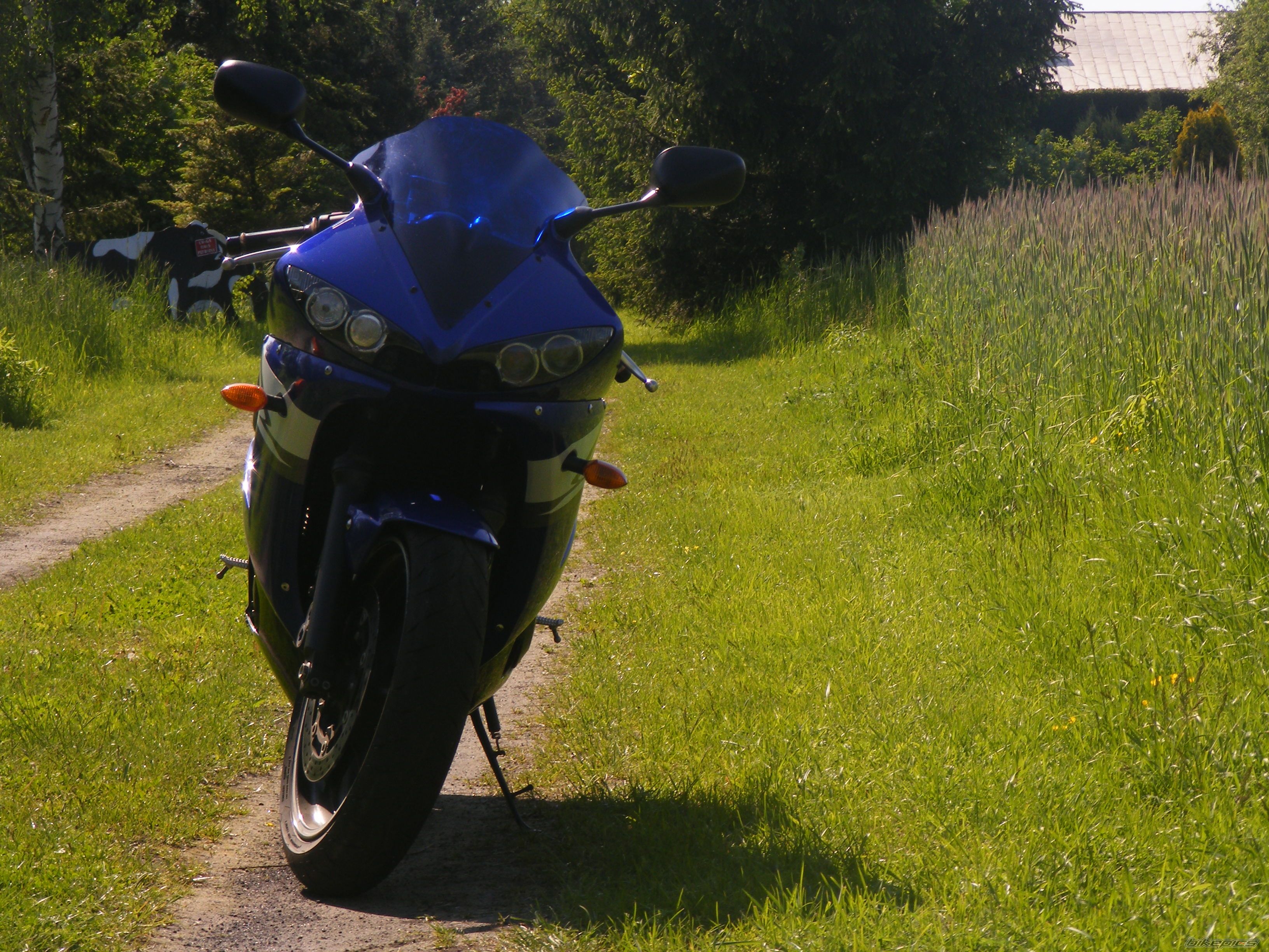 2004 YAMAHA YZF R6 | Picture 2404612 motorcycle photo