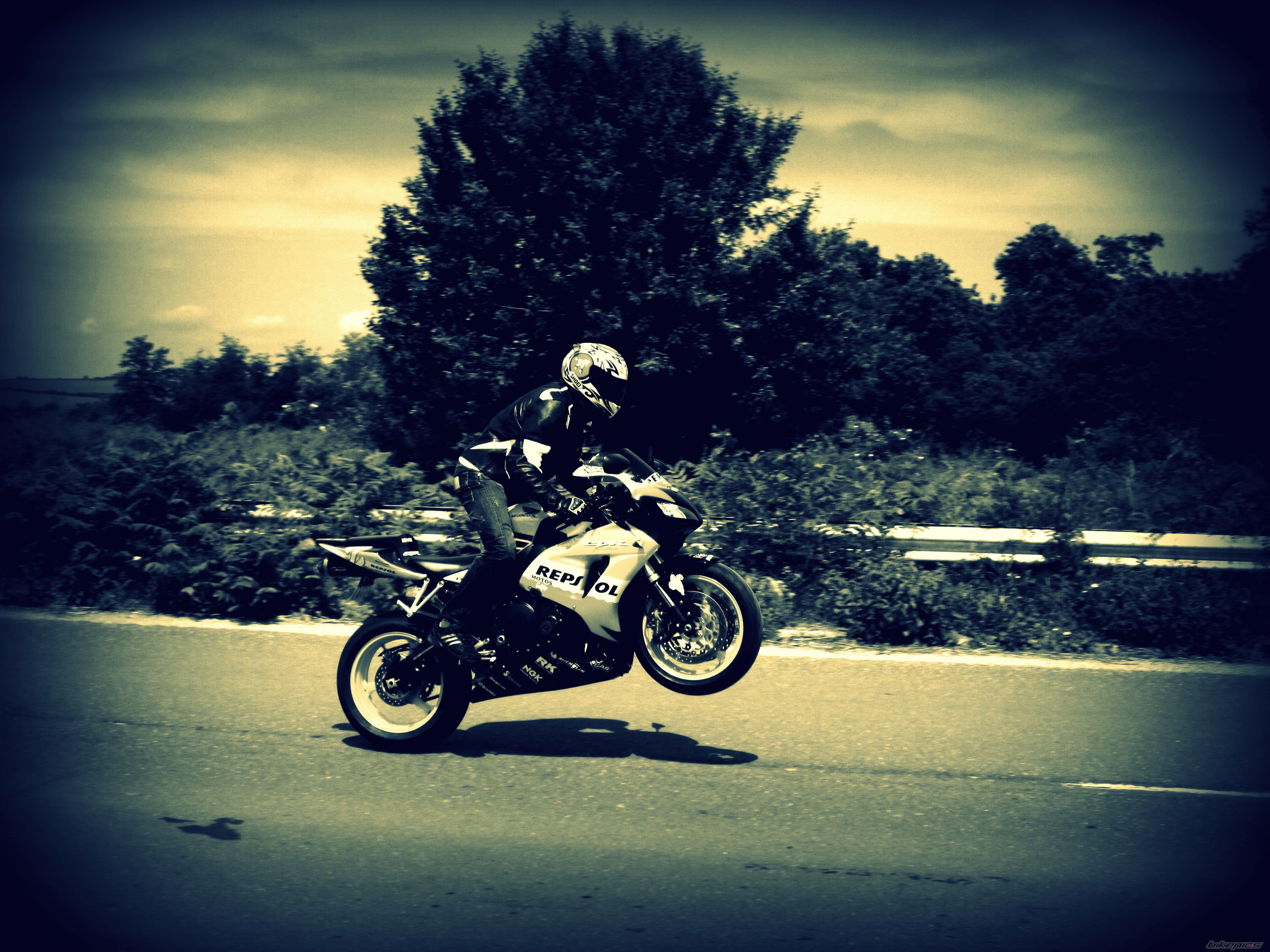 2007 HONDA CBR 1000  RR | Picture 2405260 motorcycle photo